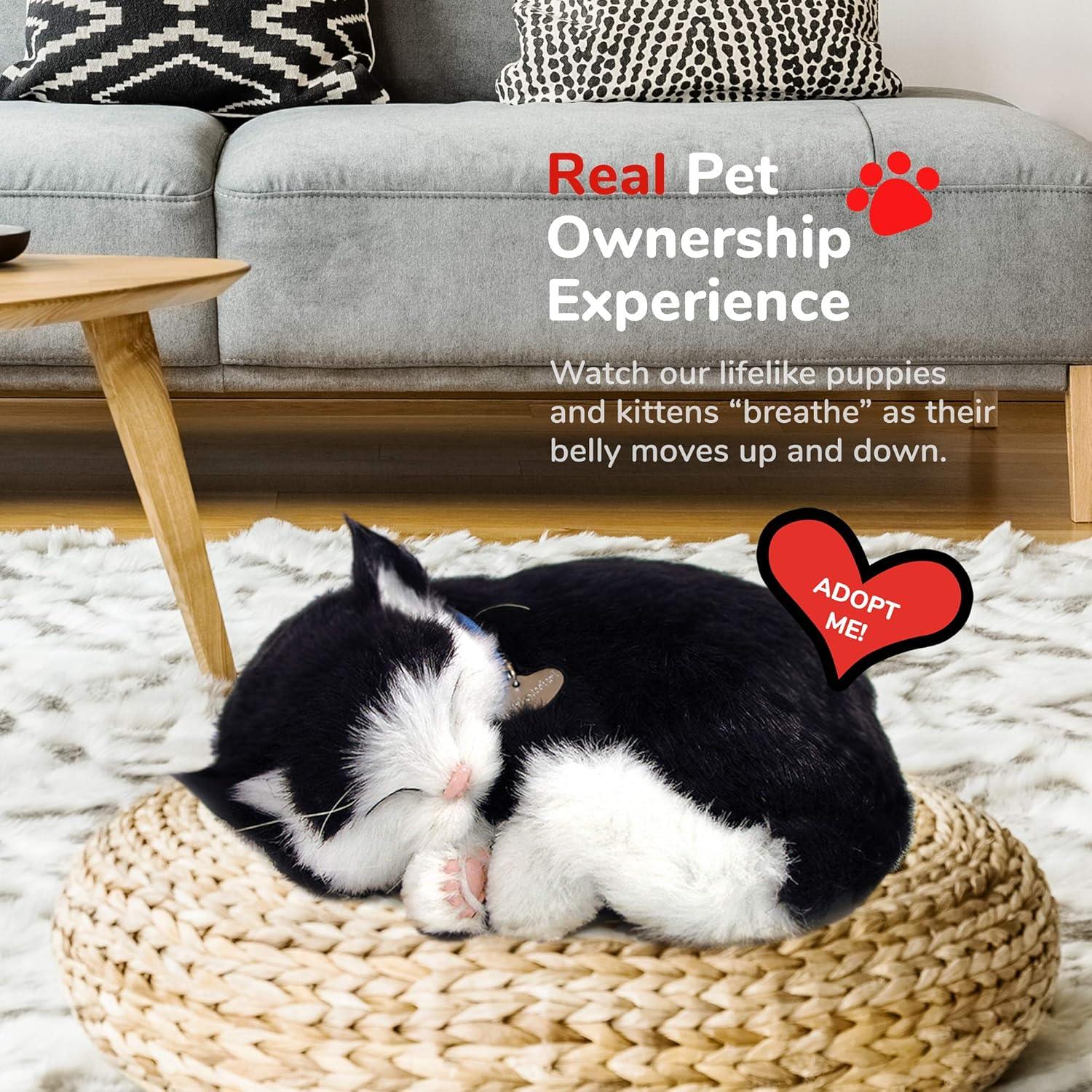 Gato de Peluche Interactivo Original Petzzz Negro y Blanco 27cm