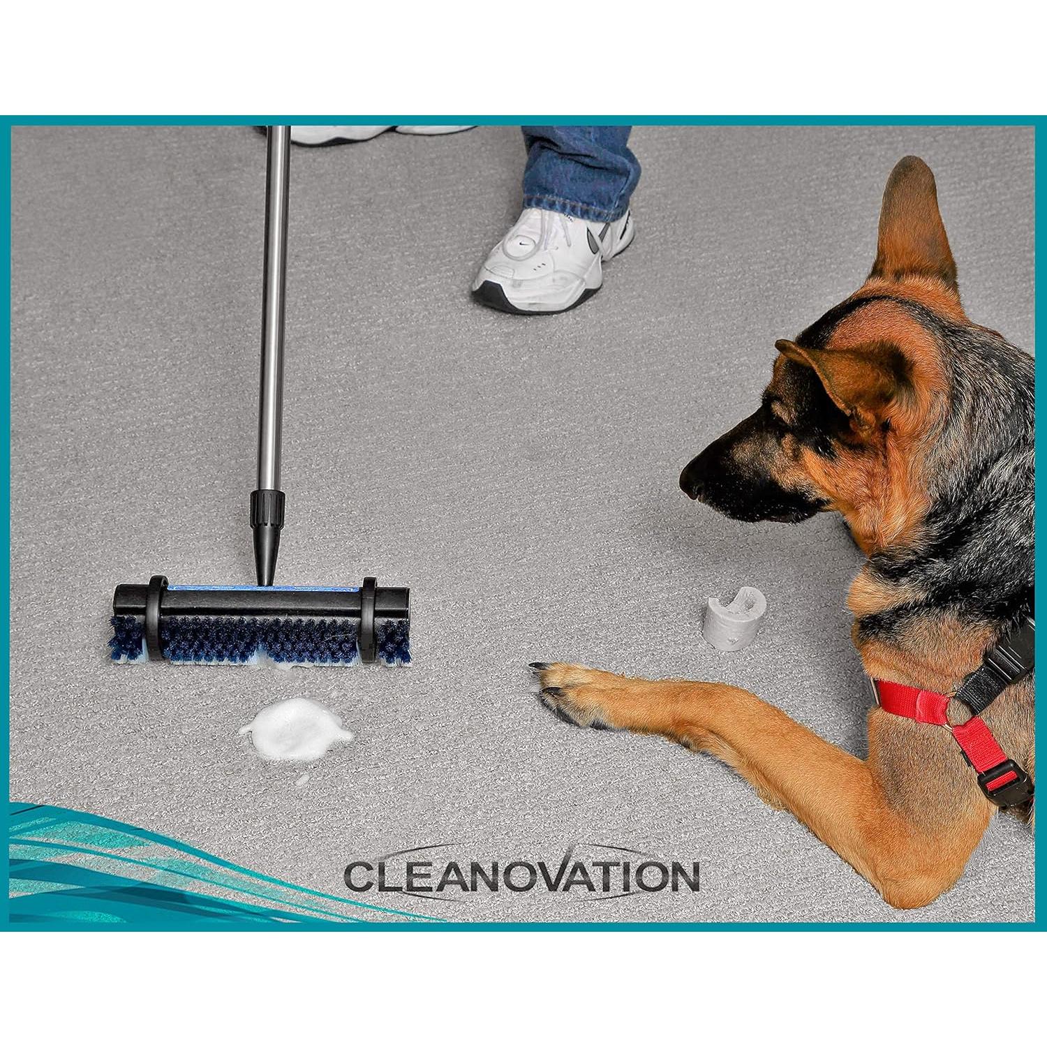 Renovador de Alfombras Cleanovation CD1401 con Mango Telescópico