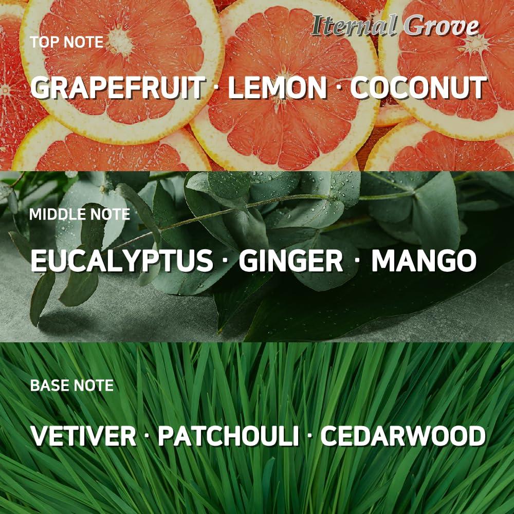 Suero Hidratante para Manos y Cuello - Aroma Bosque Eterno