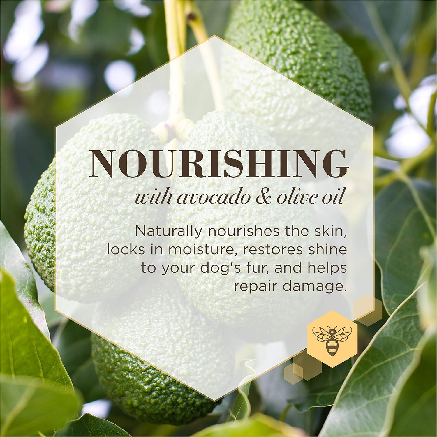 Acondicionador Nutritivo Burt's Bees para Mascotas 340 ml - Aceite de Aguacate y Oliva