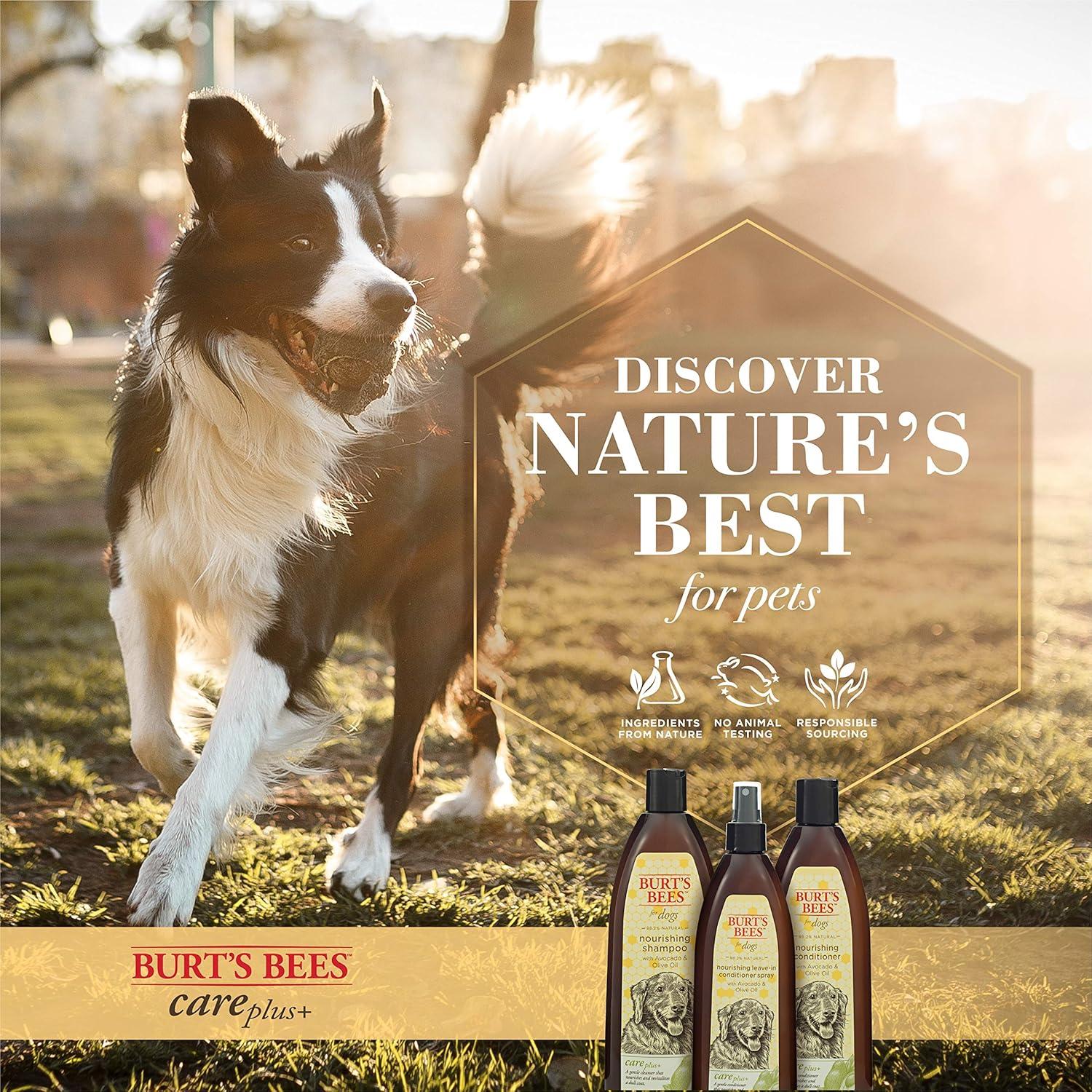 Acondicionador Nutritivo Burt's Bees para Mascotas 340 ml - Aceite de Aguacate y Oliva