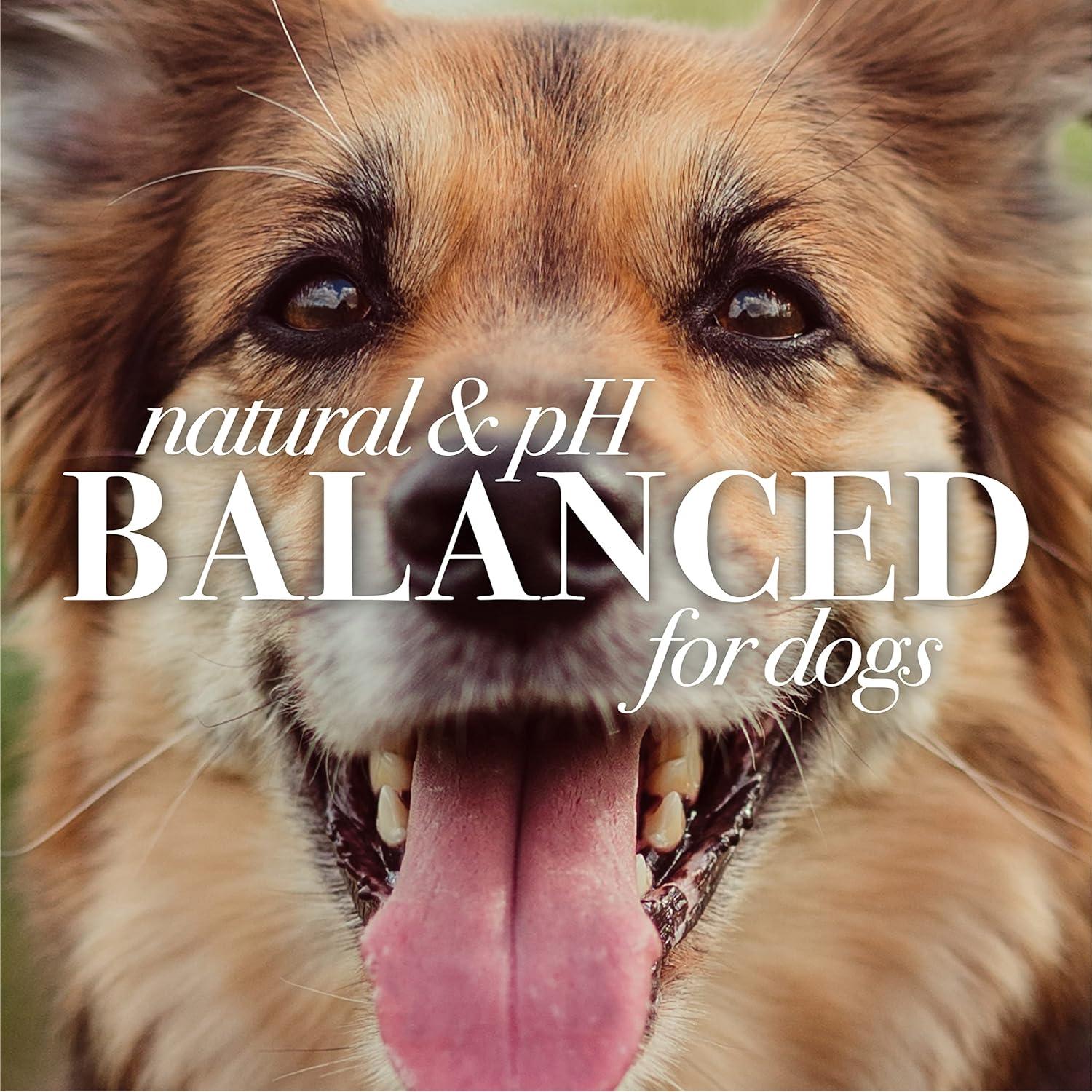 Acondicionador Nutritivo Burt's Bees para Mascotas 340 ml - Aceite de Aguacate y Oliva