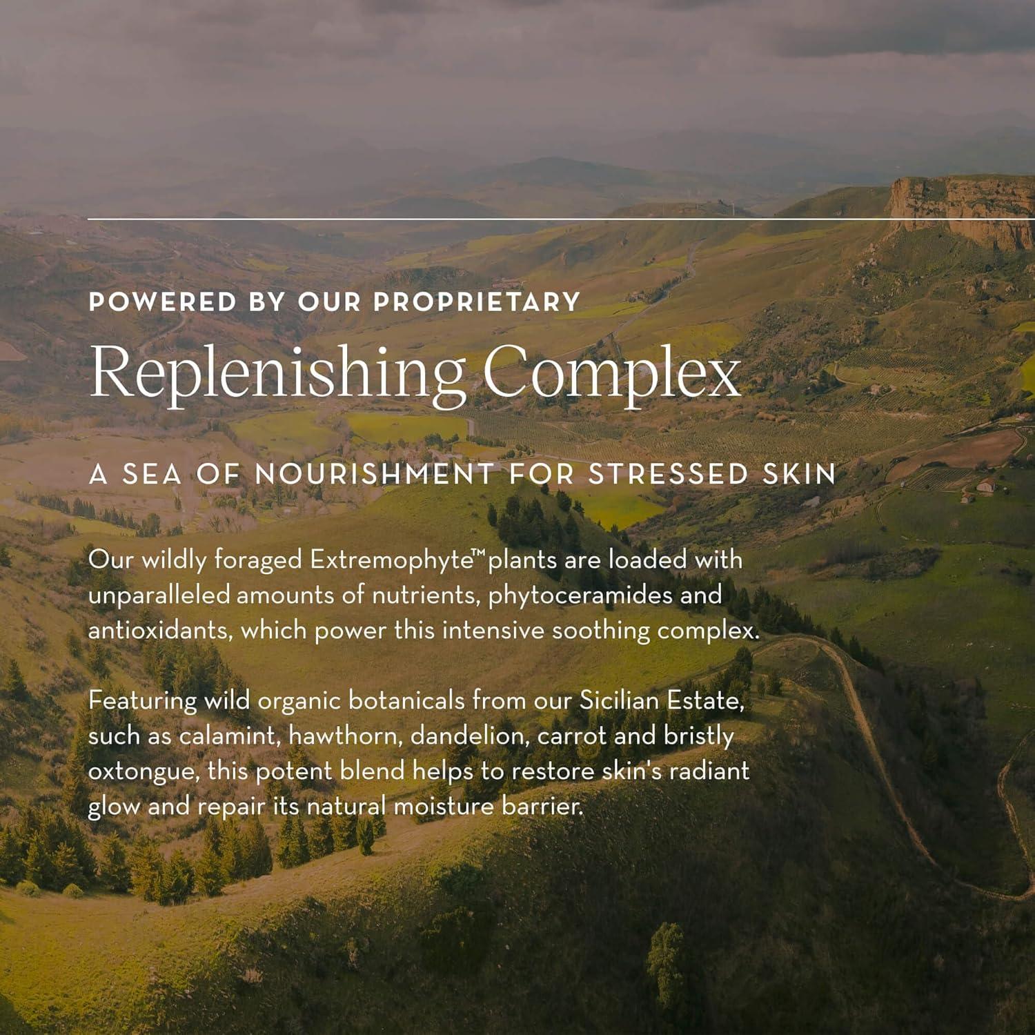 Bálsamo Reponedor Furtuna Skin 18g - Hidratación Profunda