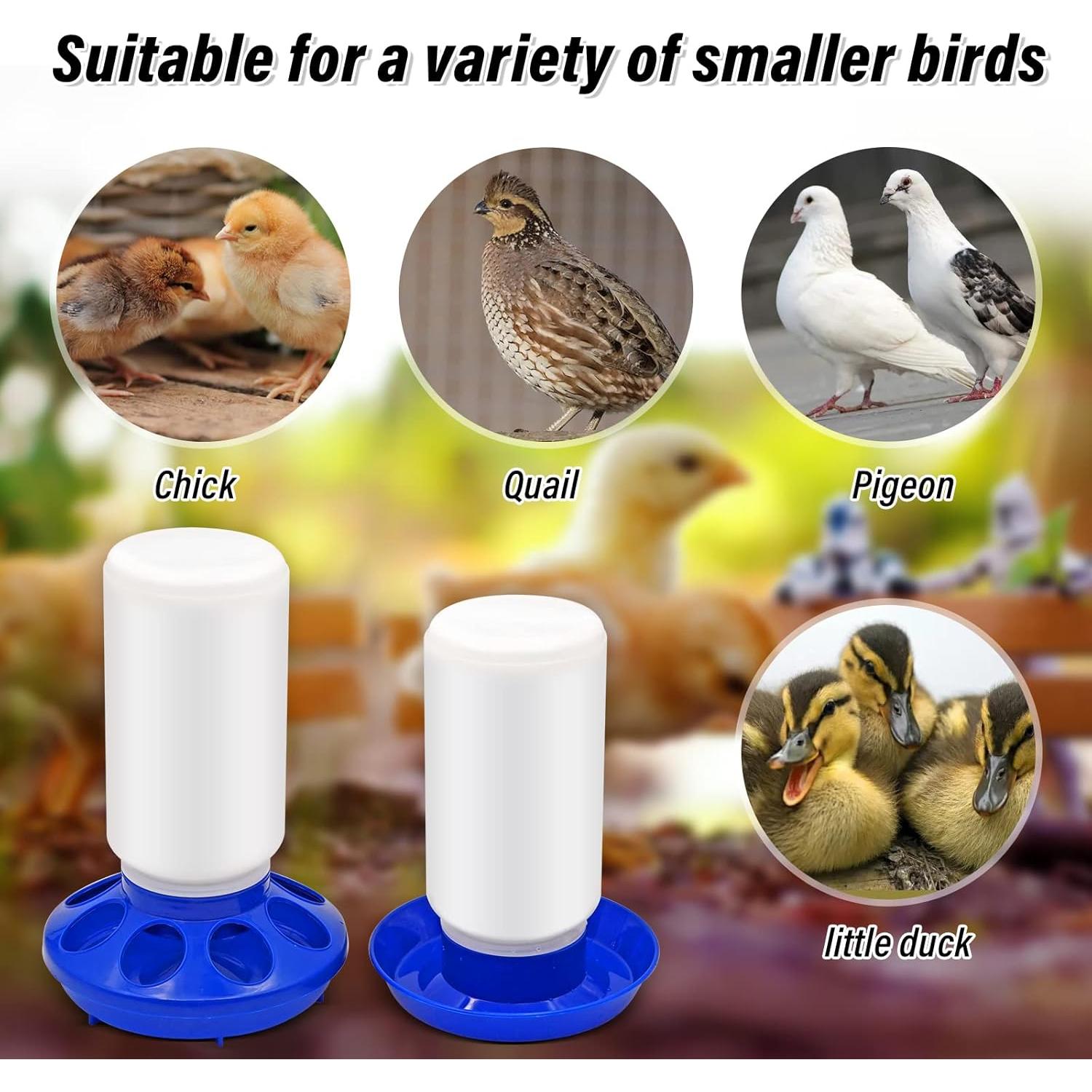 Kit de Alimentador y Bebedero Automático Oujimai para Pollos 1L