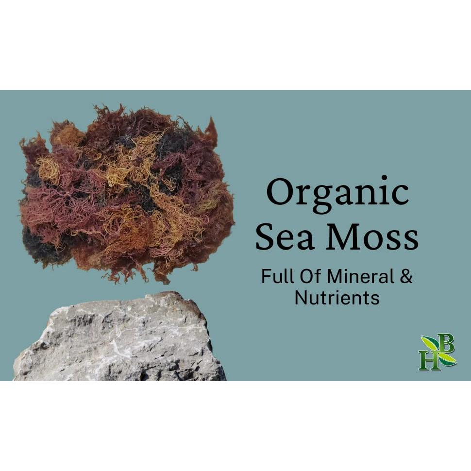 Musgo Marino Irlandés Herb To Body 113g - 100% Natural y Sostenible