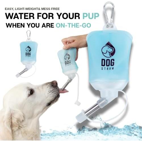 Pajilla para Perros Azul 150ml - Hidratación Portátil Segura