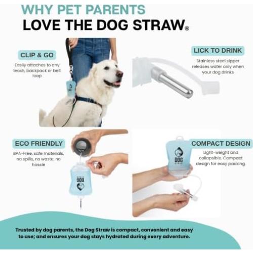 Pajilla para Perros Azul 150ml - Hidratación Portátil Segura