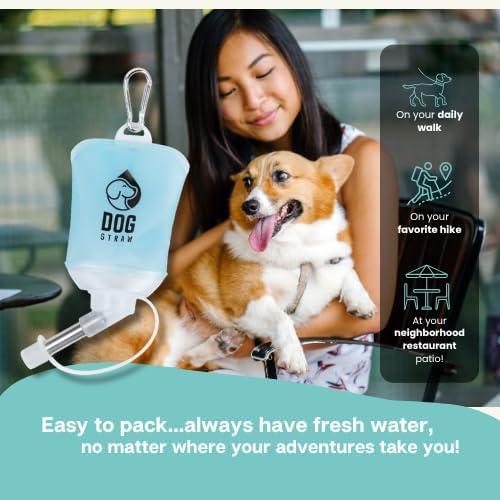 Pajilla para Perros Azul 150ml - Hidratación Portátil Segura