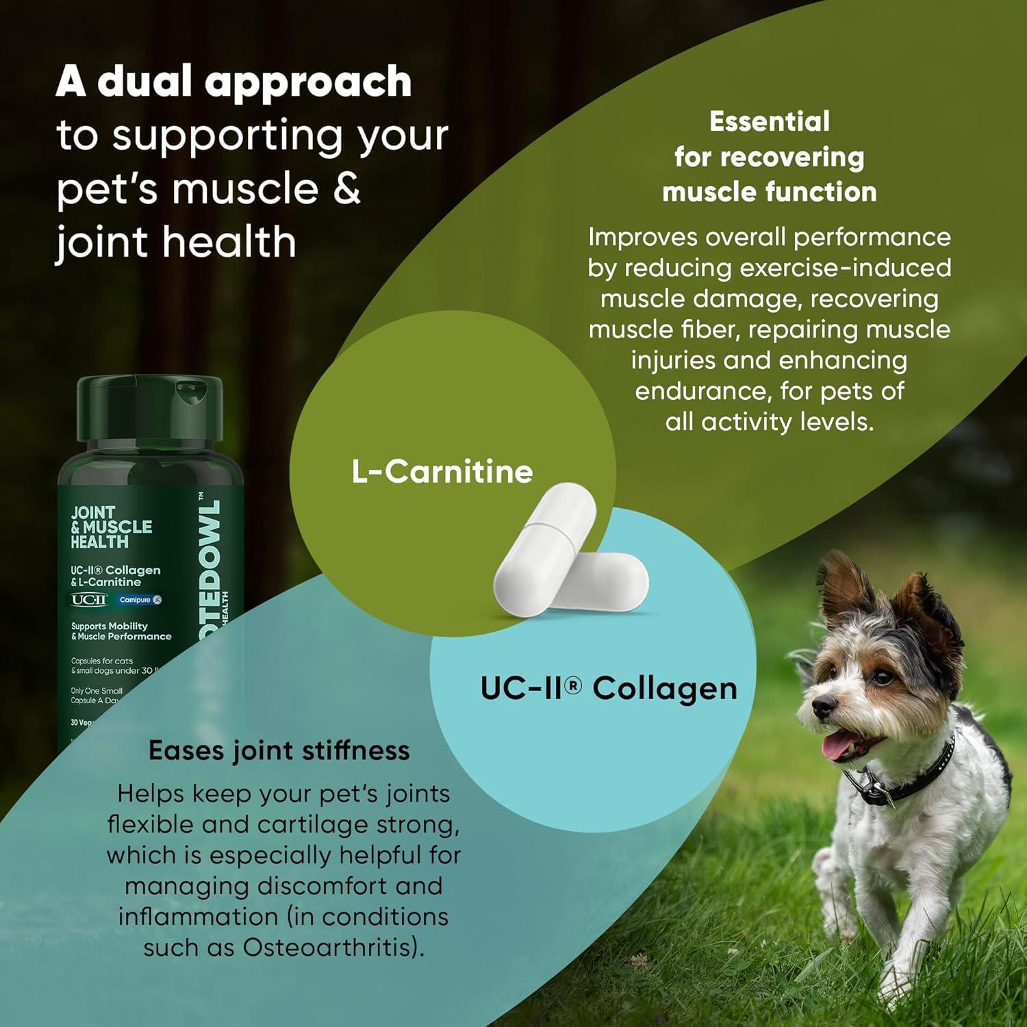 Suplemento Articulaciones y Músculos Rooted Owl 30 Cápsulas