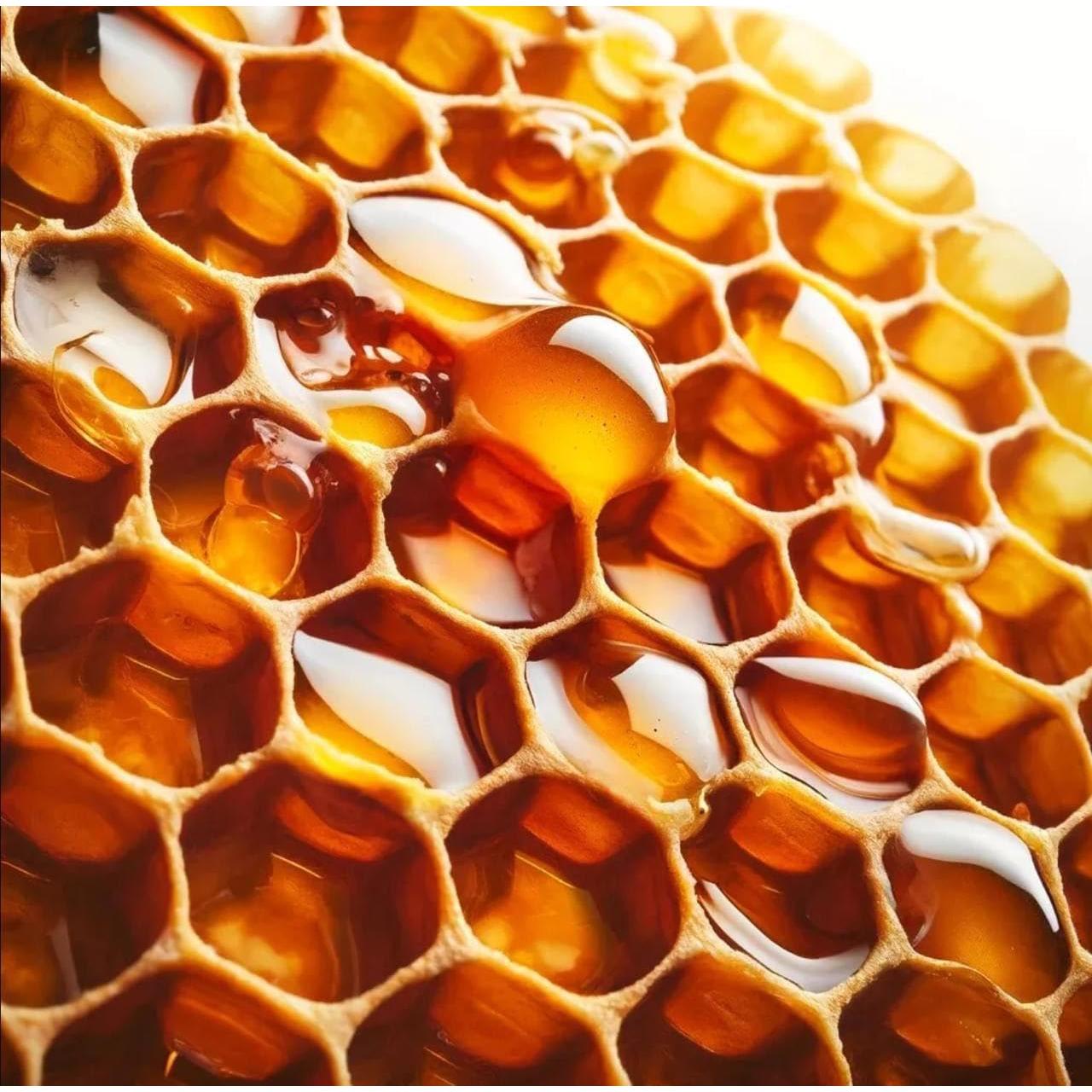 Supositorios de Homogenato de Larvas de Drone New Time - 30 Pcs