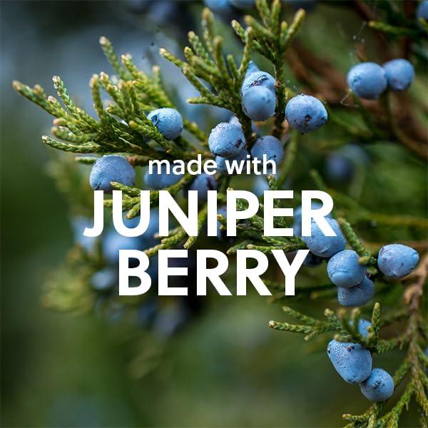 Gel de Ducha Espumoso Tree Hut Blue Musk 532 ml Hidratante