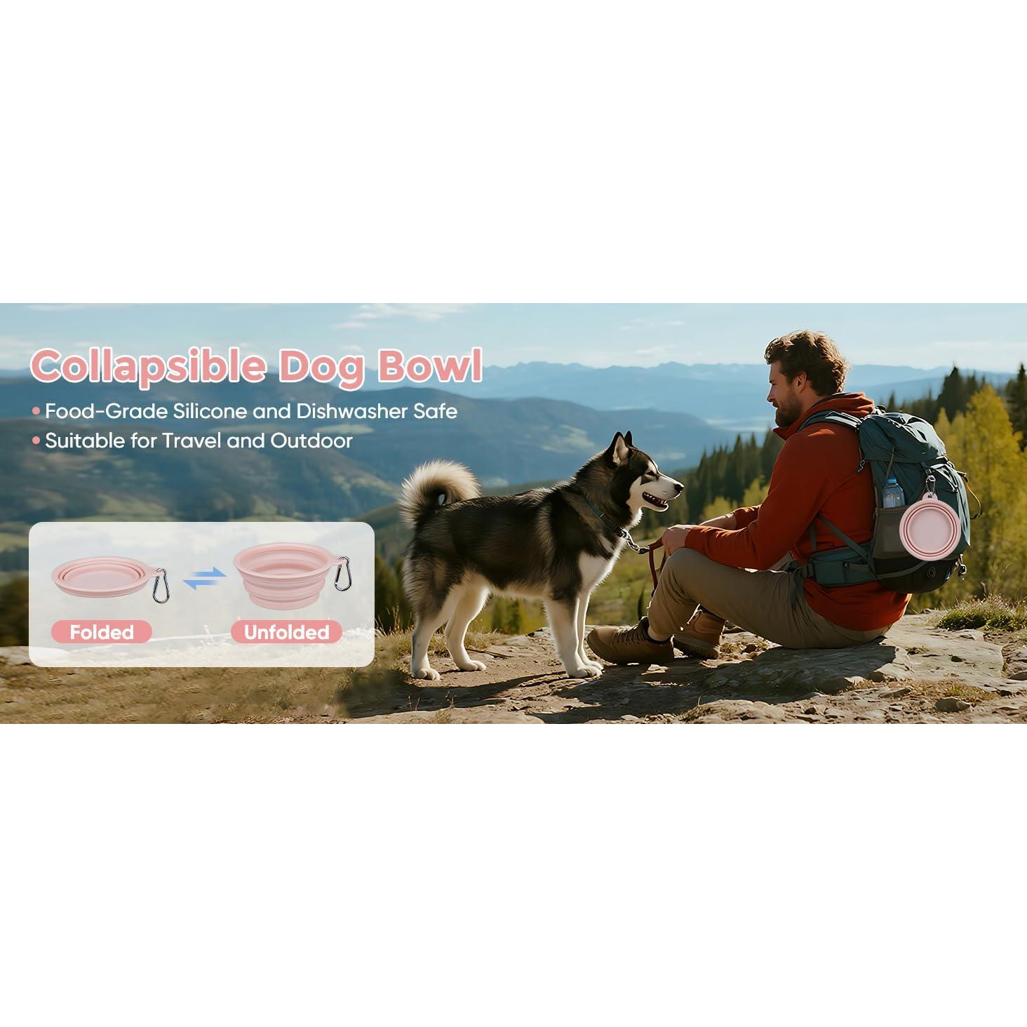 Cuencos Colapsables para Perros LeeRound - Paquete de 2, 350 ml