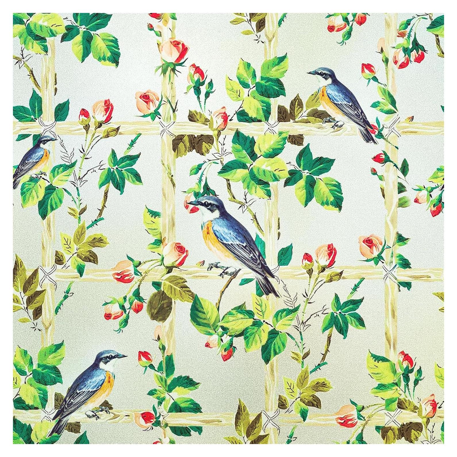 Película de Ventana Esmerilada Coavas 44.5x200 cm Anti UV