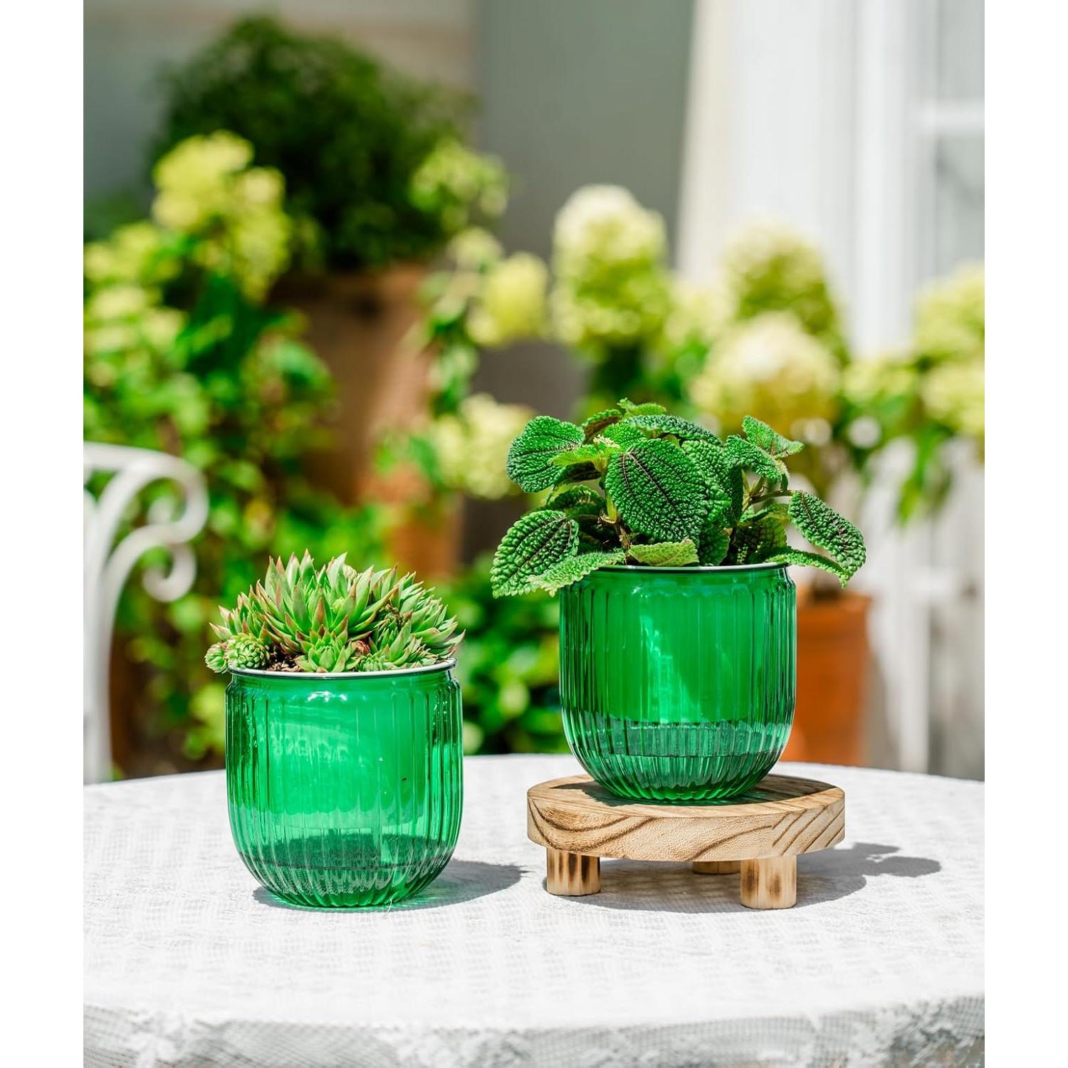 Macetas Autorriego Melphoe 10.9 cm para Plantas de Interior