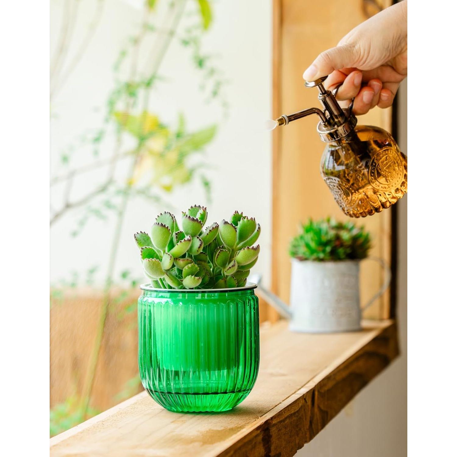 Macetas Autorriego Melphoe 10.9 cm para Plantas de Interior