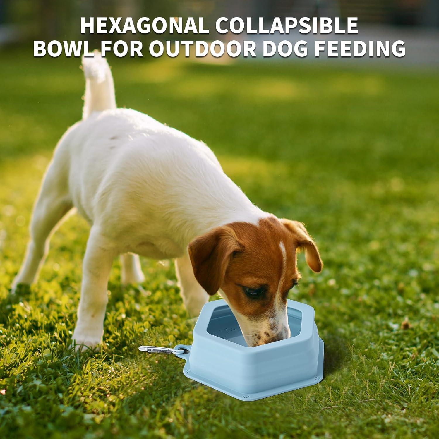 Cuenco de Viaje para Perros SLSON 700ml Plegable Sin Derrames