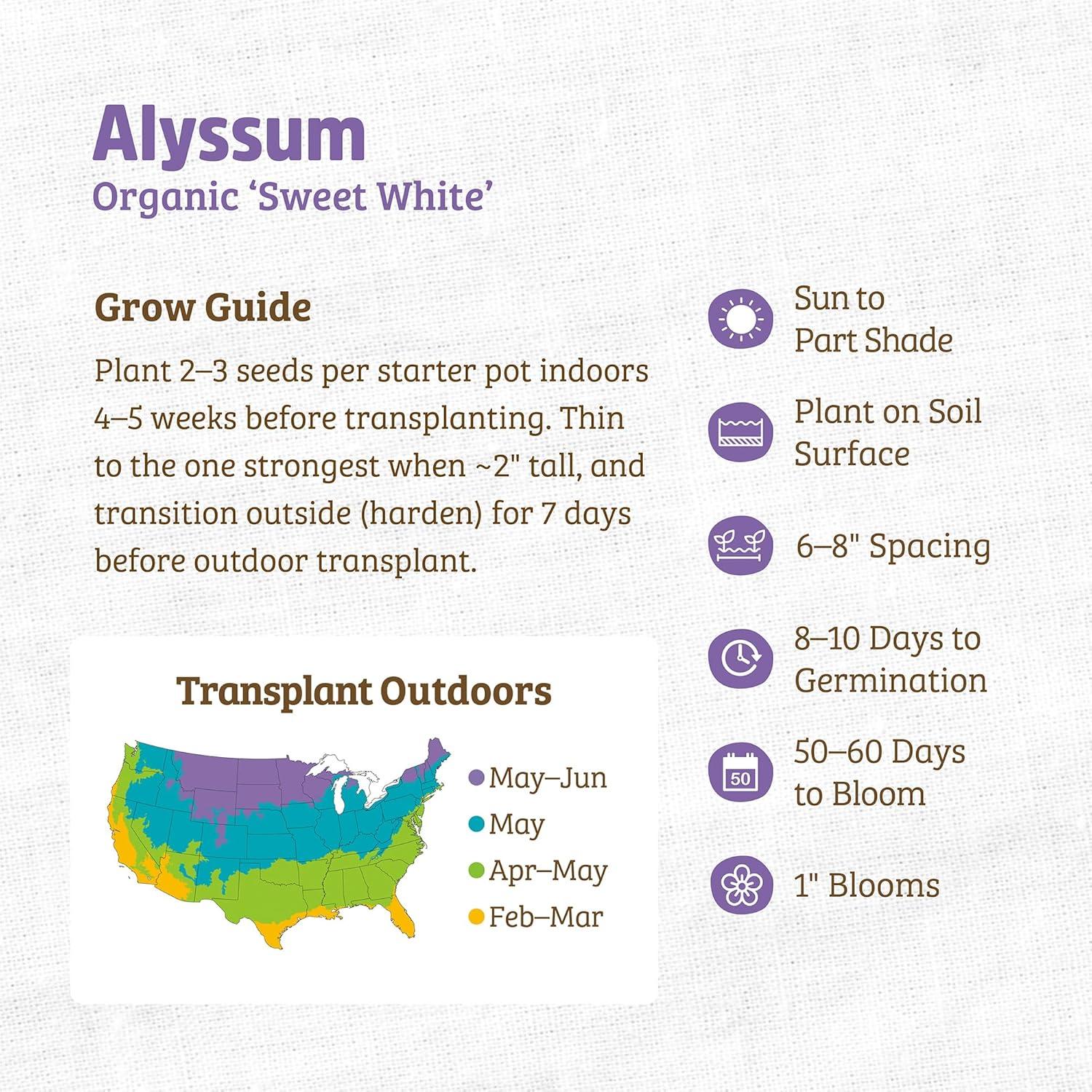 Back to the Roots 100% Organic Seed Packet - Alyssum 'White' 100mg