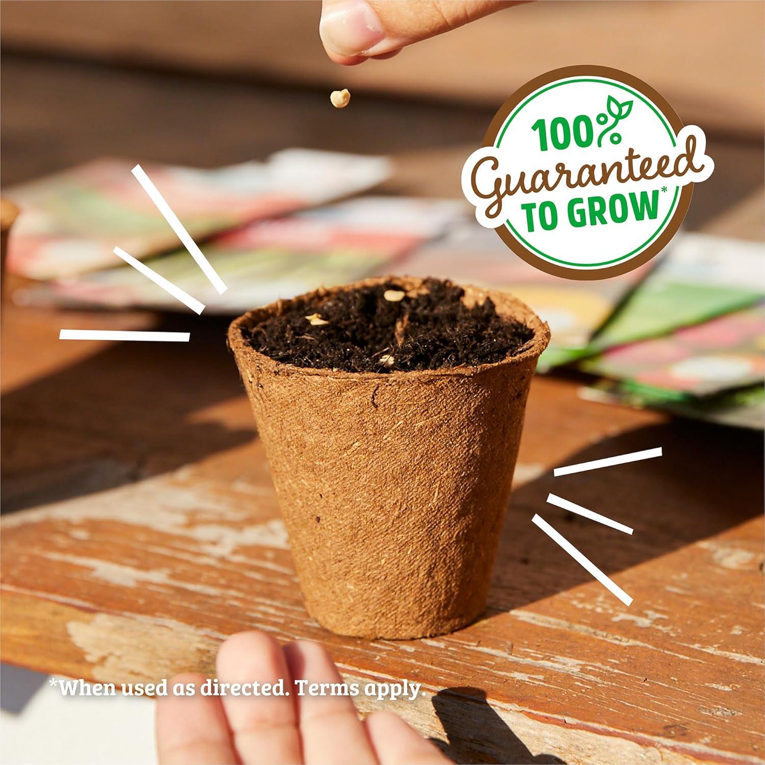 Back to the Roots 100% Organic Seed Packet - Alyssum 'White' 100mg