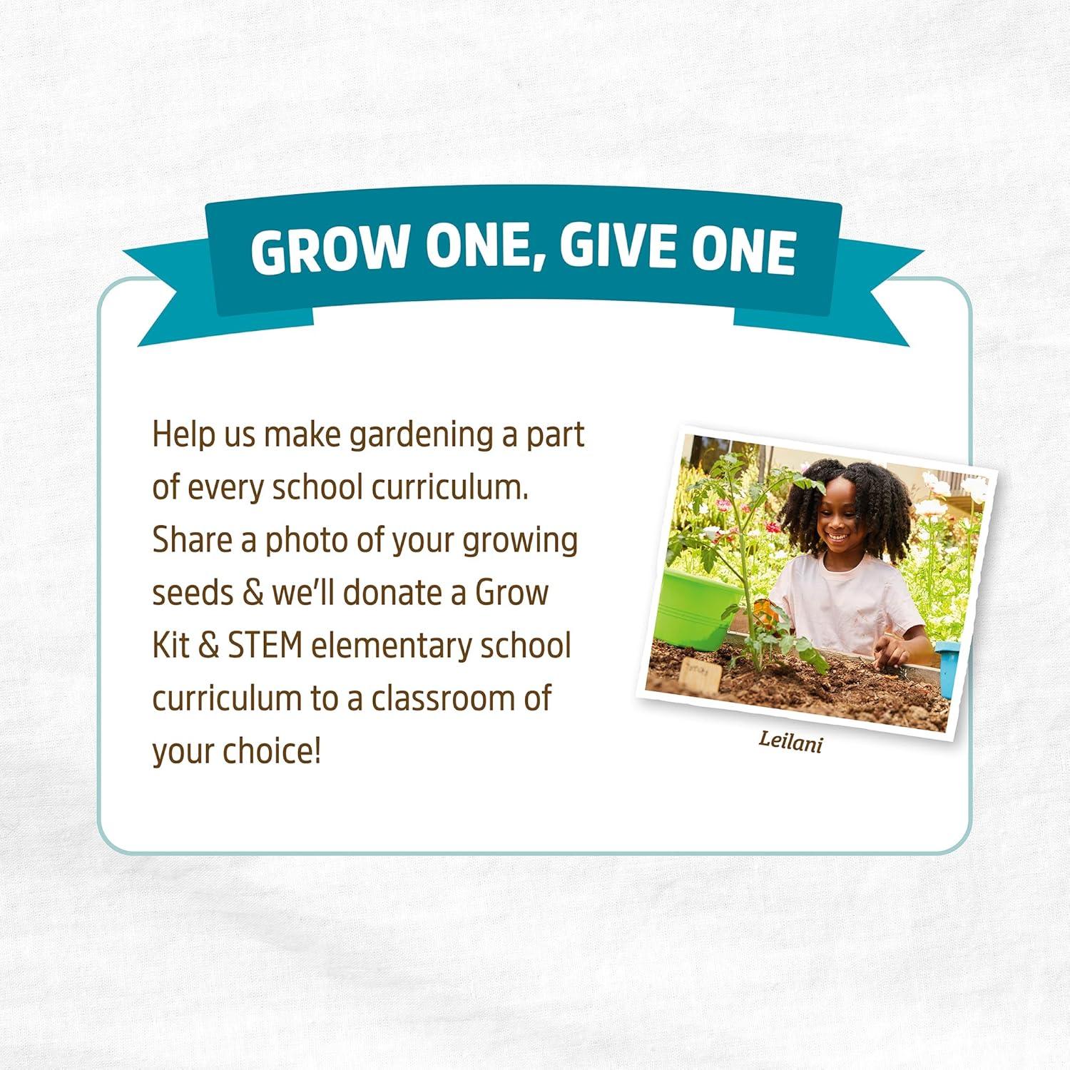 Back to the Roots 100% Organic Seed Packet - Alyssum 'White' 100mg