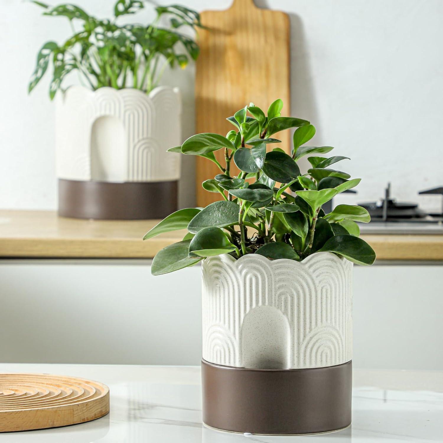 Maceta Autorriego Nihow 15 cm Cerámica Beige y Marrón