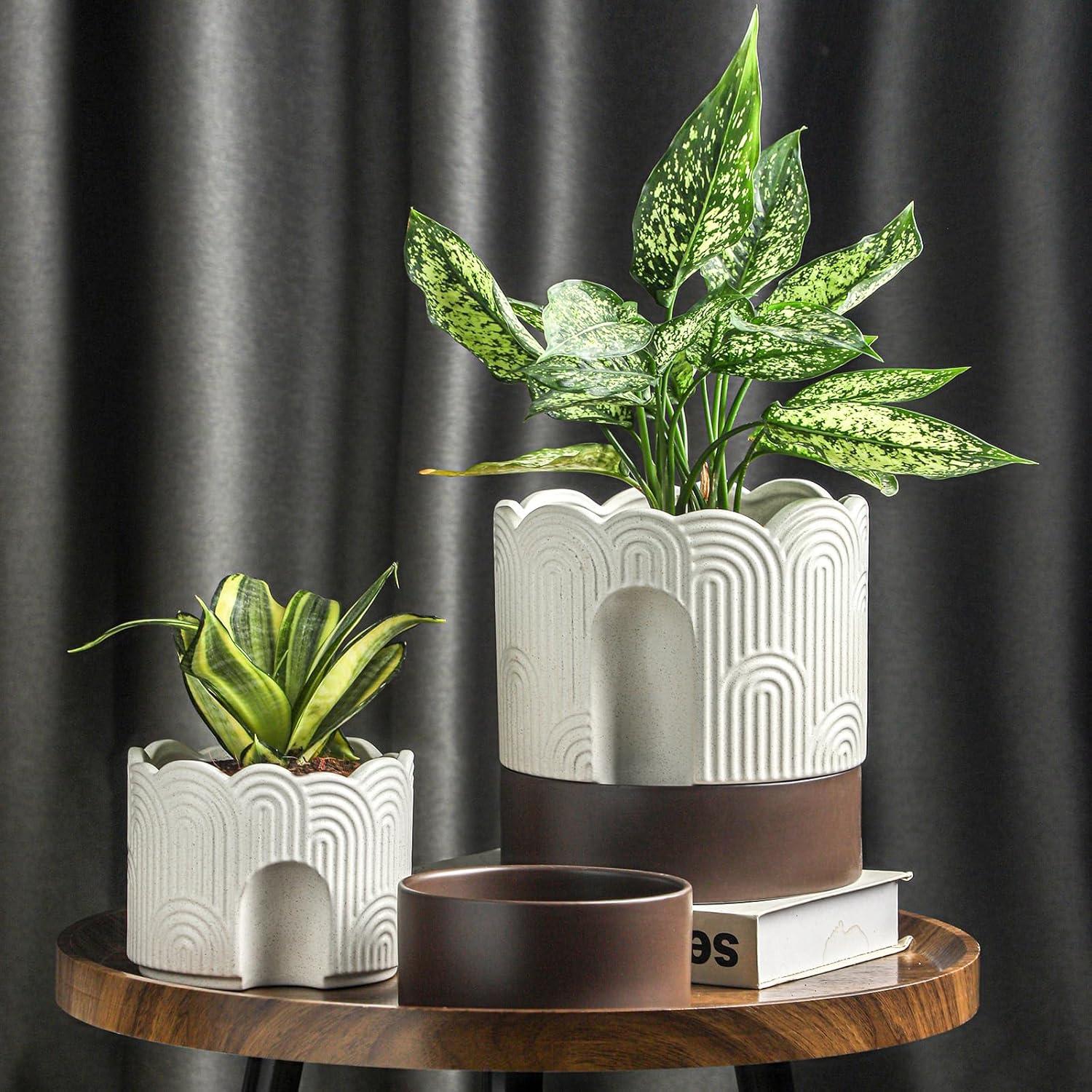 Maceta Autorriego Nihow 15 cm Cerámica Beige y Marrón