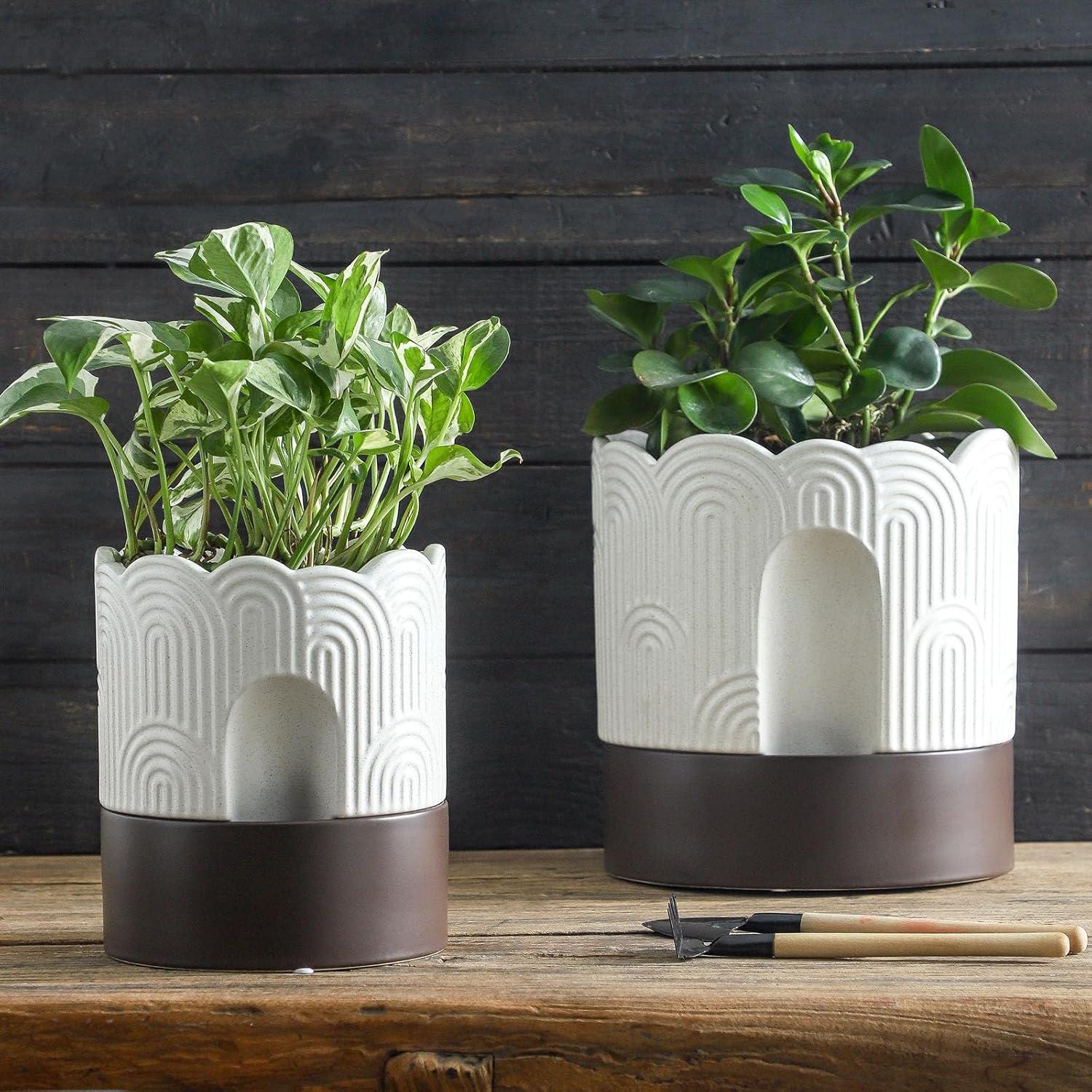 Maceta Autorriego Nihow 15 cm Cerámica Beige y Marrón