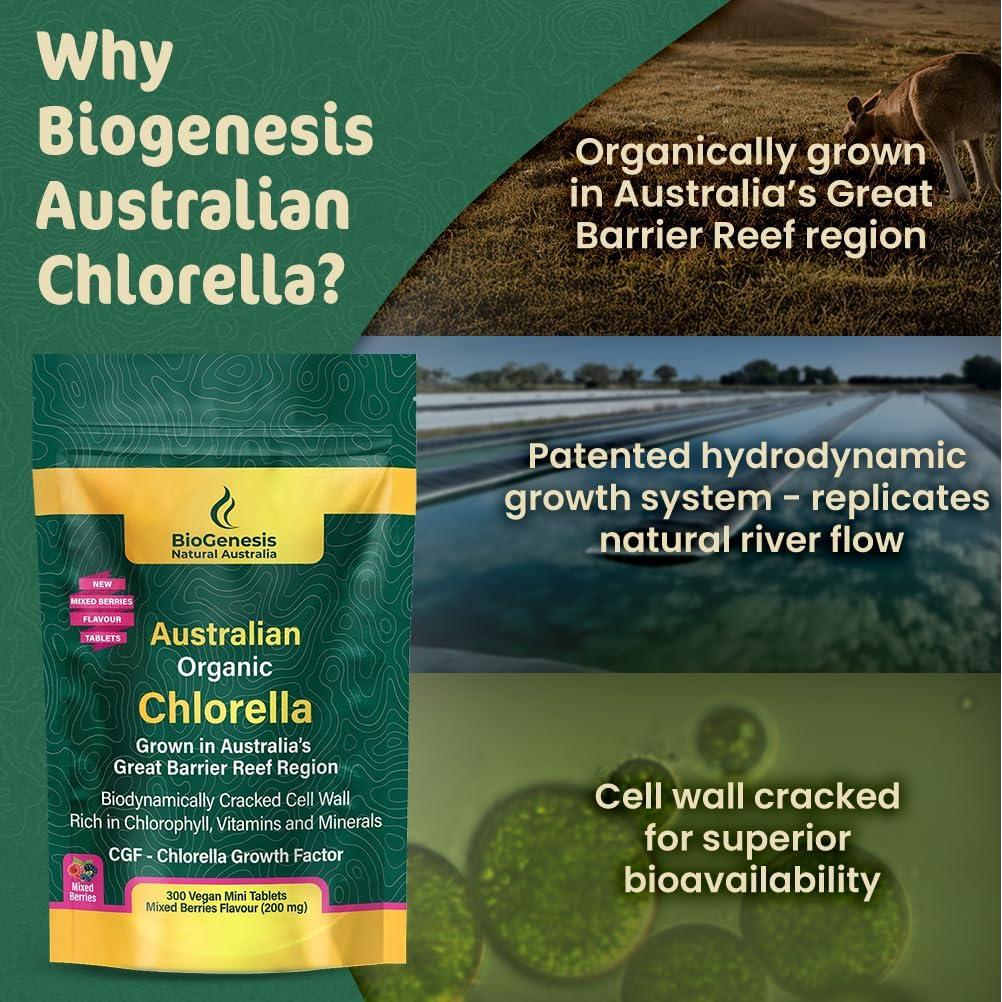 Tabletas de Chlorella Orgánica BioGenesis 300 Mini Veganas