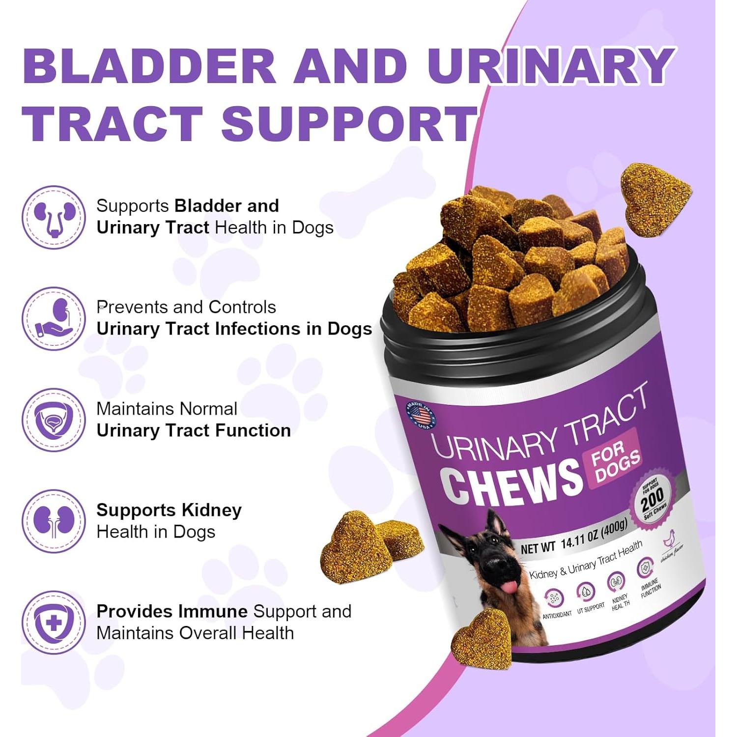 Suplemento de Arándano TTLXBL para UTI en Perros 200 Masticables