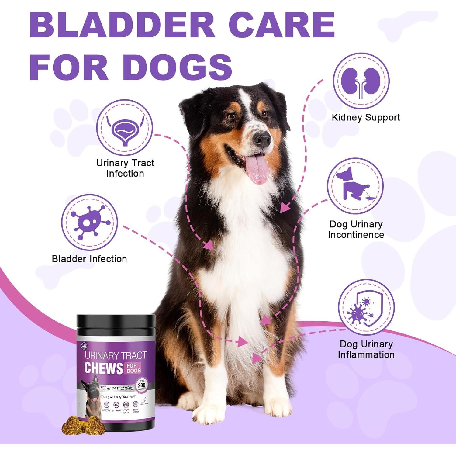 Suplemento de Arándano TTLXBL para UTI en Perros 200 Masticables