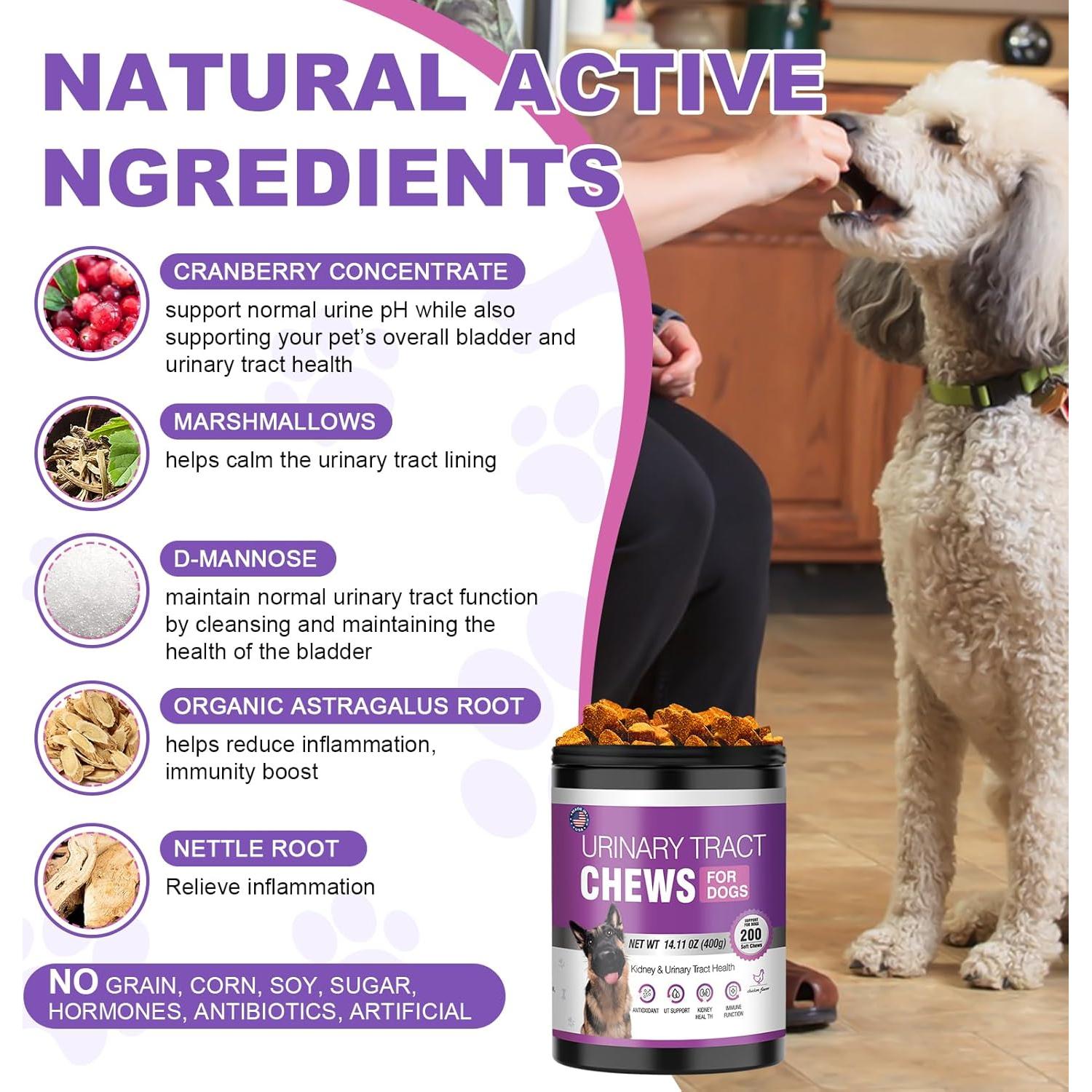 Suplemento de Arándano TTLXBL para UTI en Perros 200 Masticables