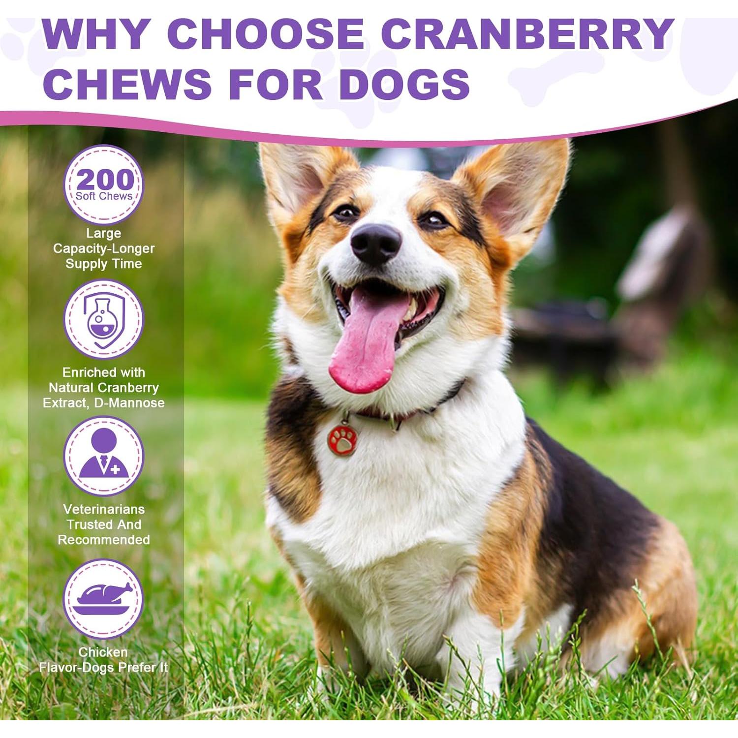 Suplemento de Arándano TTLXBL para UTI en Perros 200 Masticables