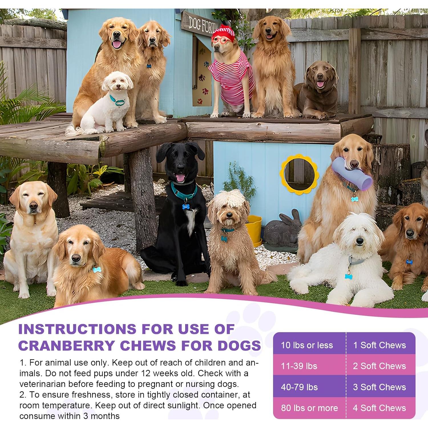 Suplemento de Arándano TTLXBL para UTI en Perros 200 Masticables