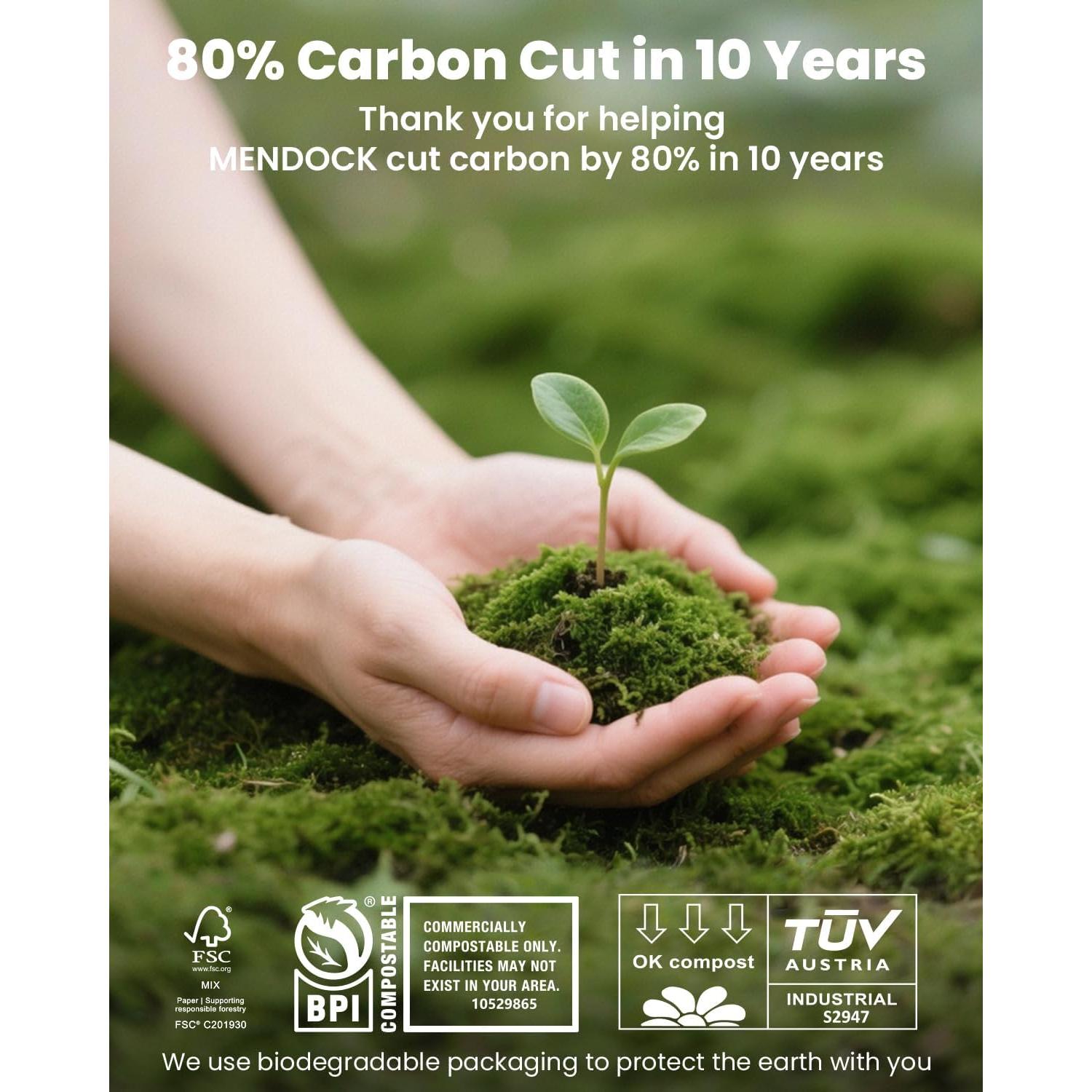 Cerradura Inteligente MENDOCK UF03 Biométrica Teclado Negro