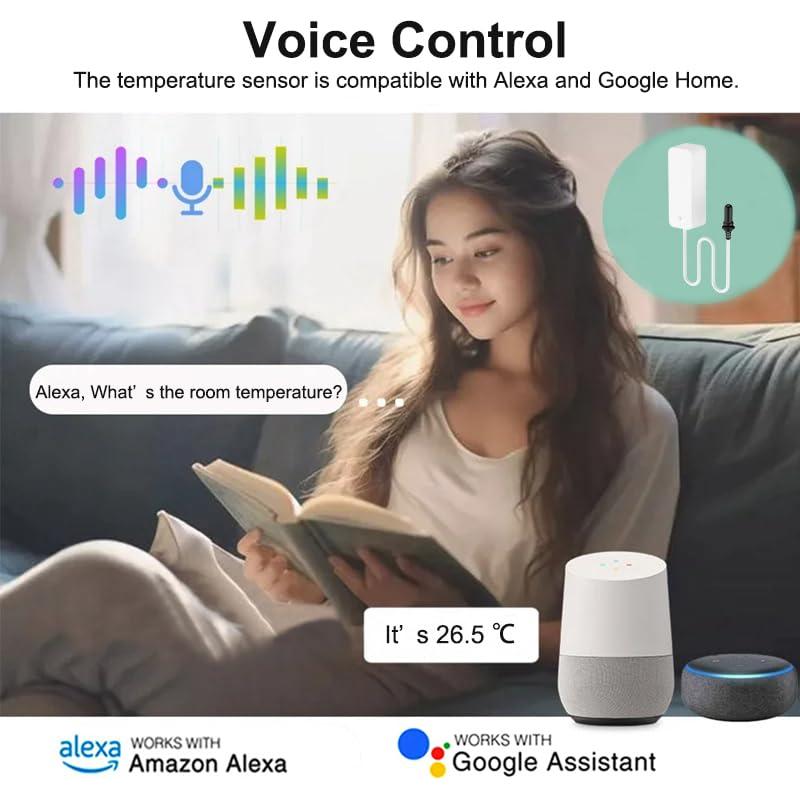 Termómetro Higrómetro Inteligente Zecamin T01 WiFi con Sonda