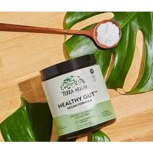 Fórmula Vegana Intestino Saludable Terra Origin 246g