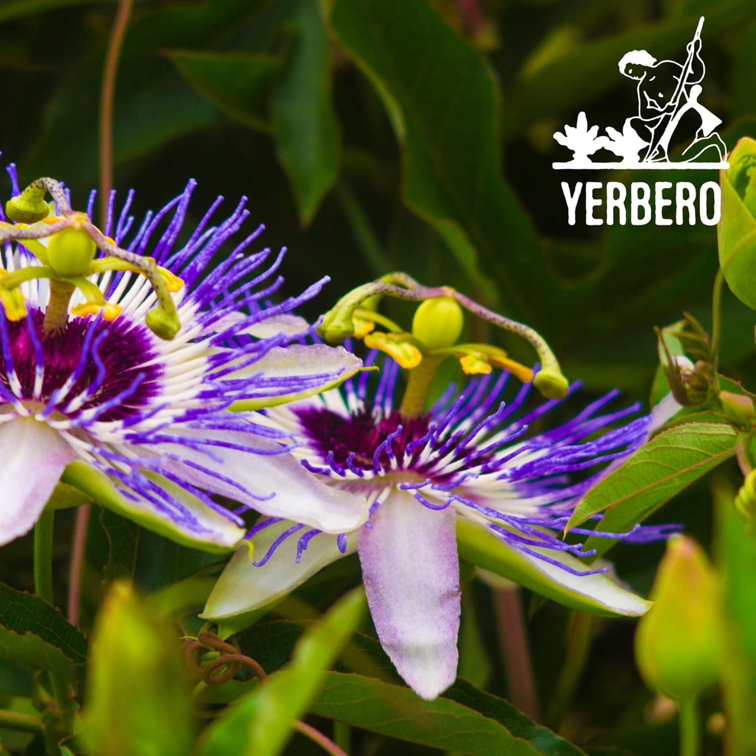 Té Herbal de Pasiflora Yerbero 100g - 100% Natural y Sin OGM