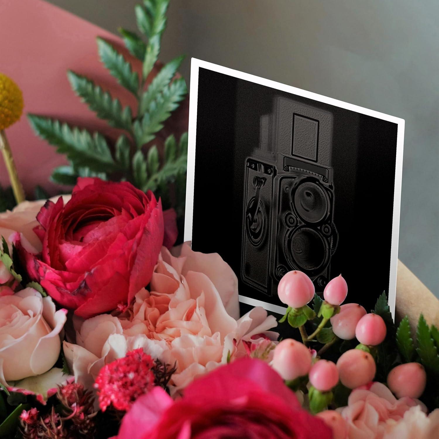 3dRose Greeting Card - Picture of a Vintage Twin Lens reflex TLR camera - KIKE CALVO vintage camera collection