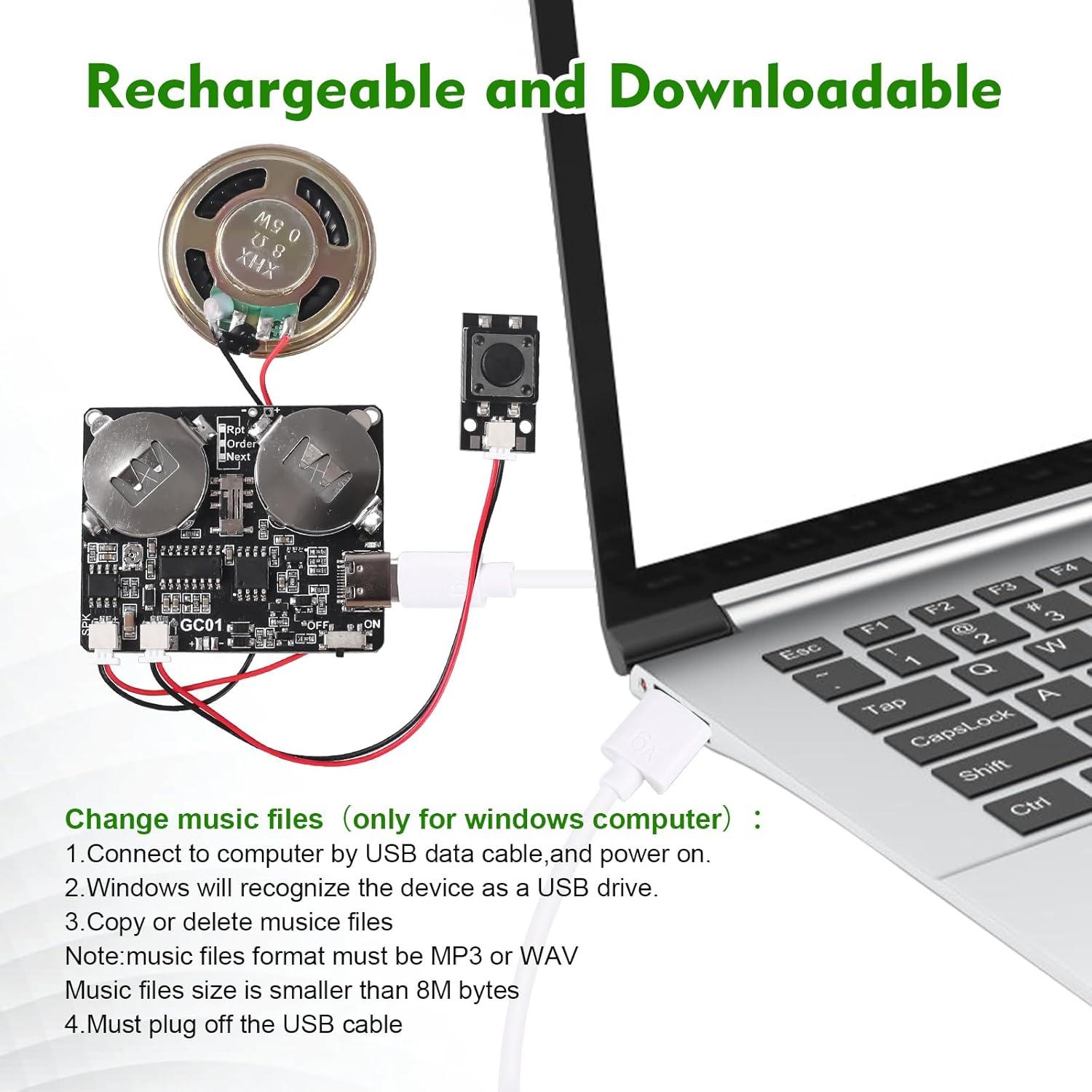 Módulo de Sonido Icstation 8MB Recargable USB Tipo-C