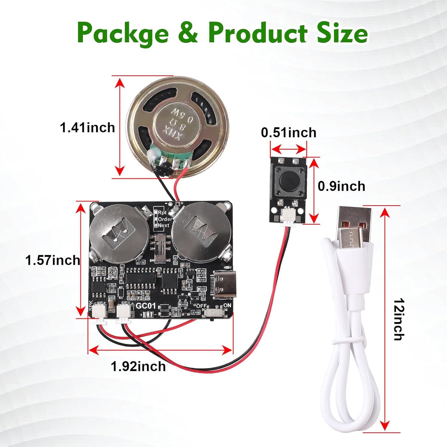 Módulo de Sonido Icstation 8MB Recargable USB Tipo-C