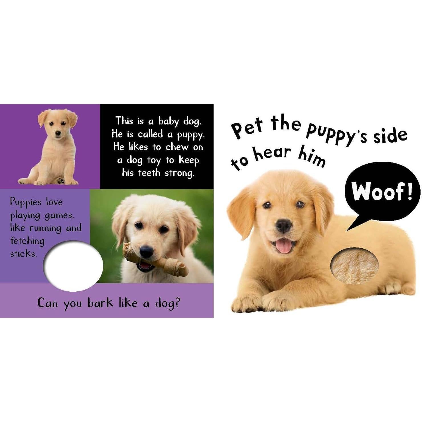 Noisy Baby Animals: Includes 6 Sounds and an On/Off Switch on the Back Cover! (My First)