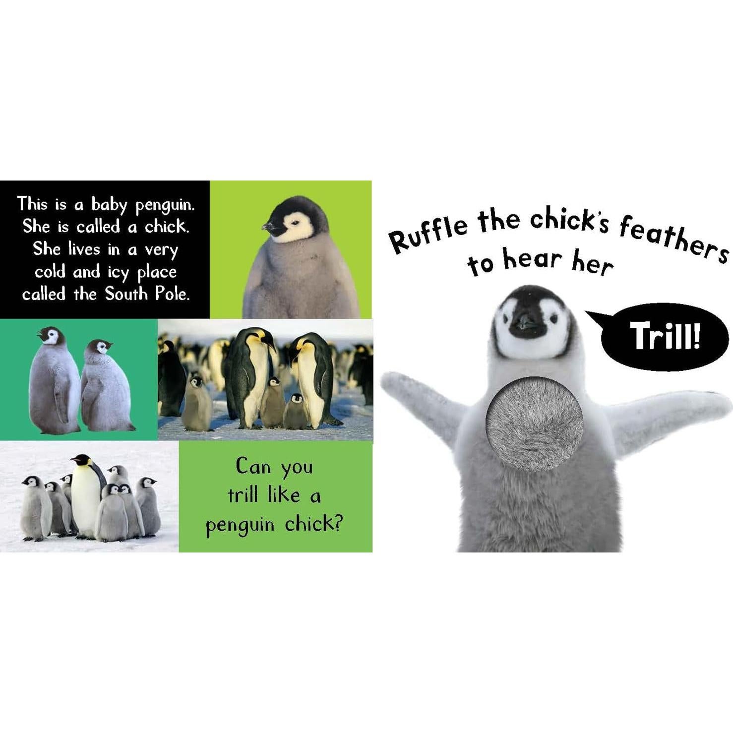 Noisy Baby Animals: Includes 6 Sounds and an On/Off Switch on the Back Cover! (My First)