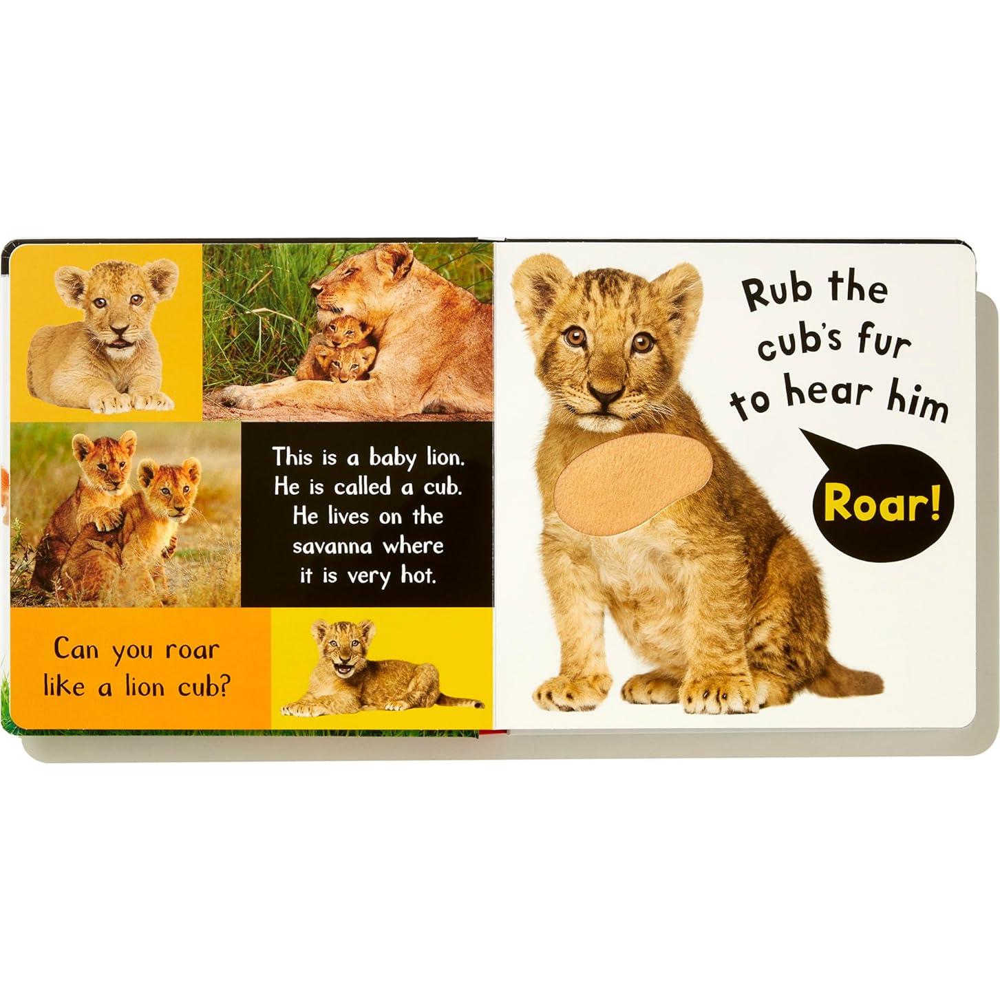 Noisy Baby Animals: Includes 6 Sounds and an On/Off Switch on the Back Cover! (My First)