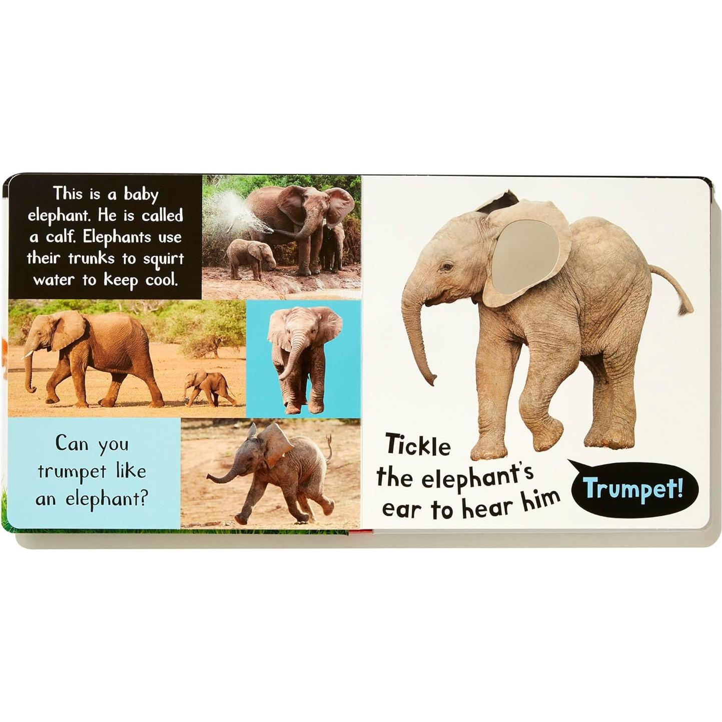 Noisy Baby Animals: Includes 6 Sounds and an On/Off Switch on the Back Cover! (My First)