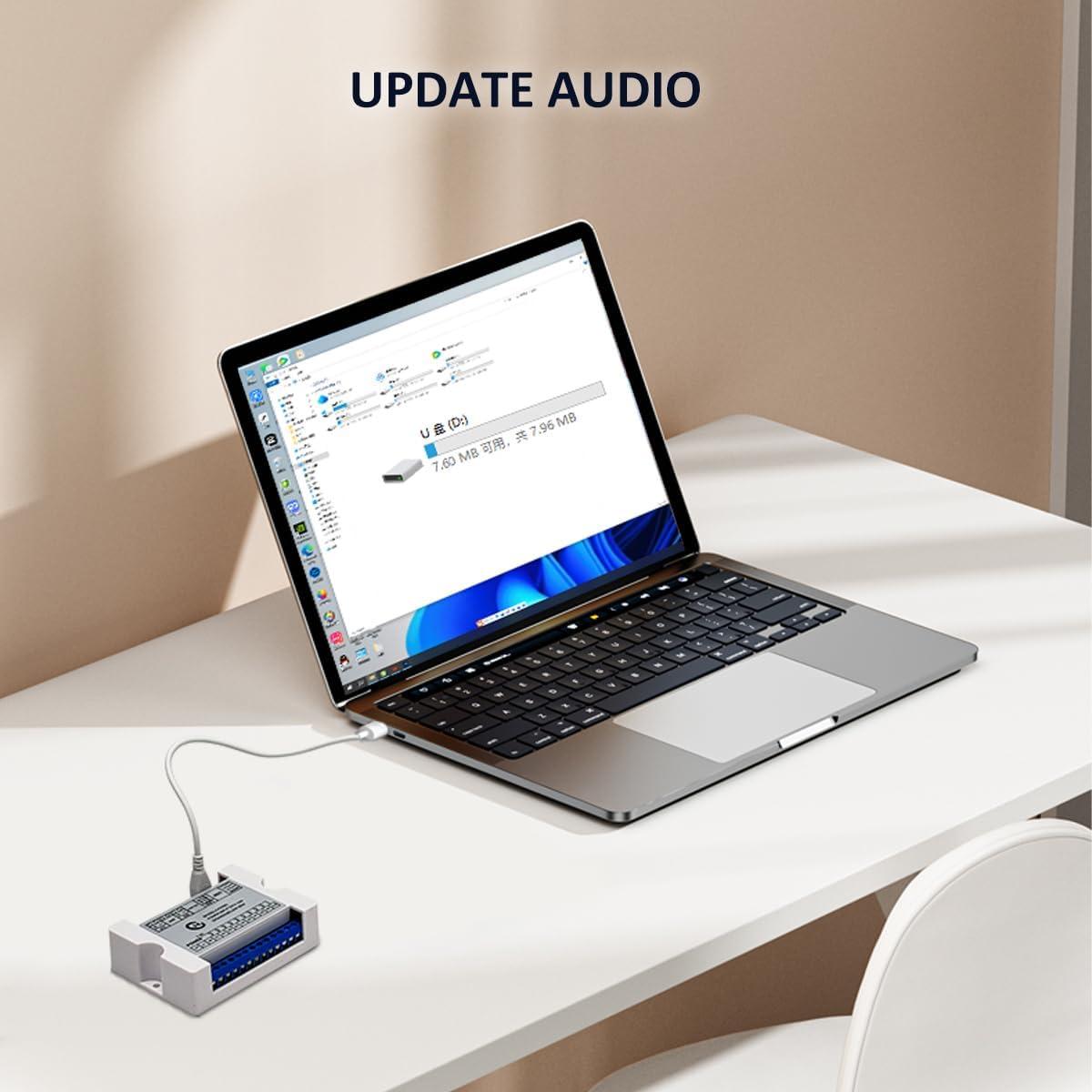 Módulo de Reproducción de Voz 80W JRGKJCP CH358D USB