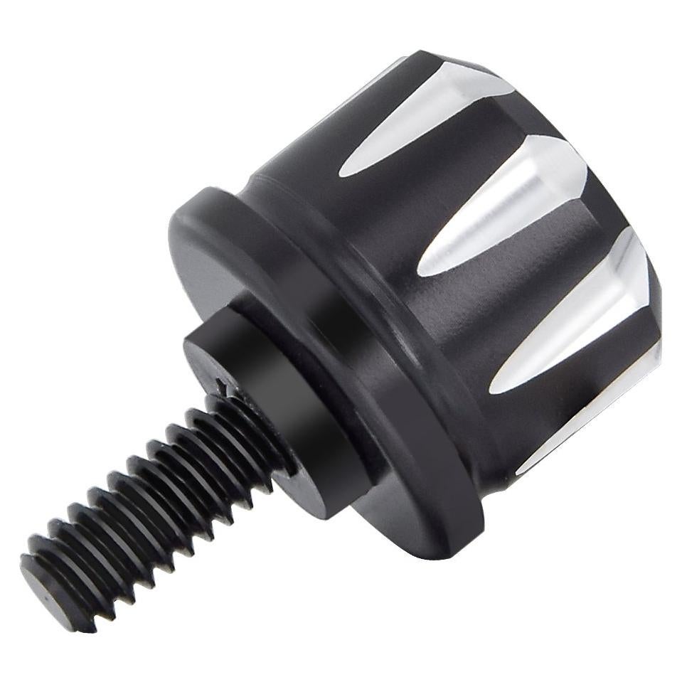 Tornillo de Asiento Negro Amazicha de Acero Inoxidable 1/4"-20