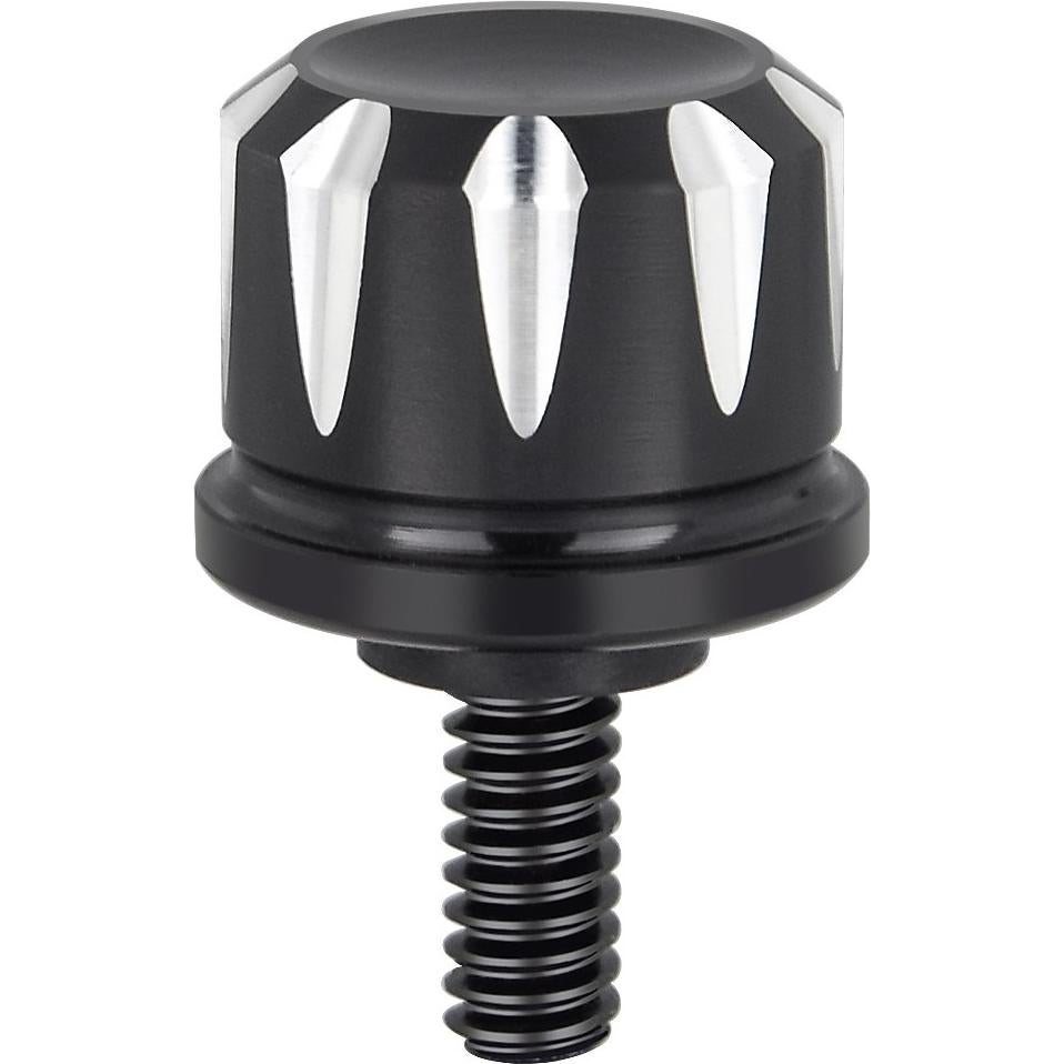 Tornillo de Asiento Negro Amazicha de Acero Inoxidable 1/4"-20
