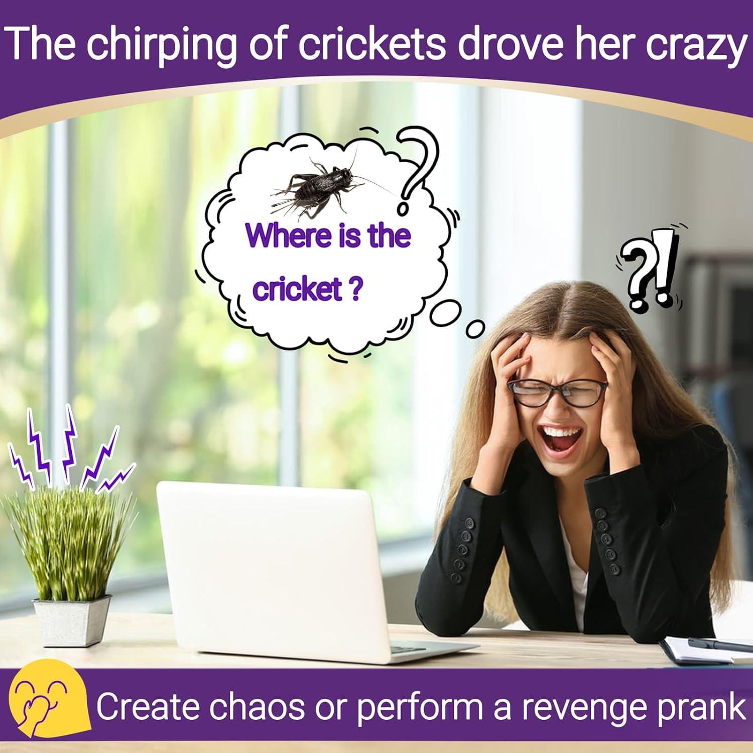 Hacedor de Ruido de Grillo COLEGRY CNM-16S 16 Sonidos