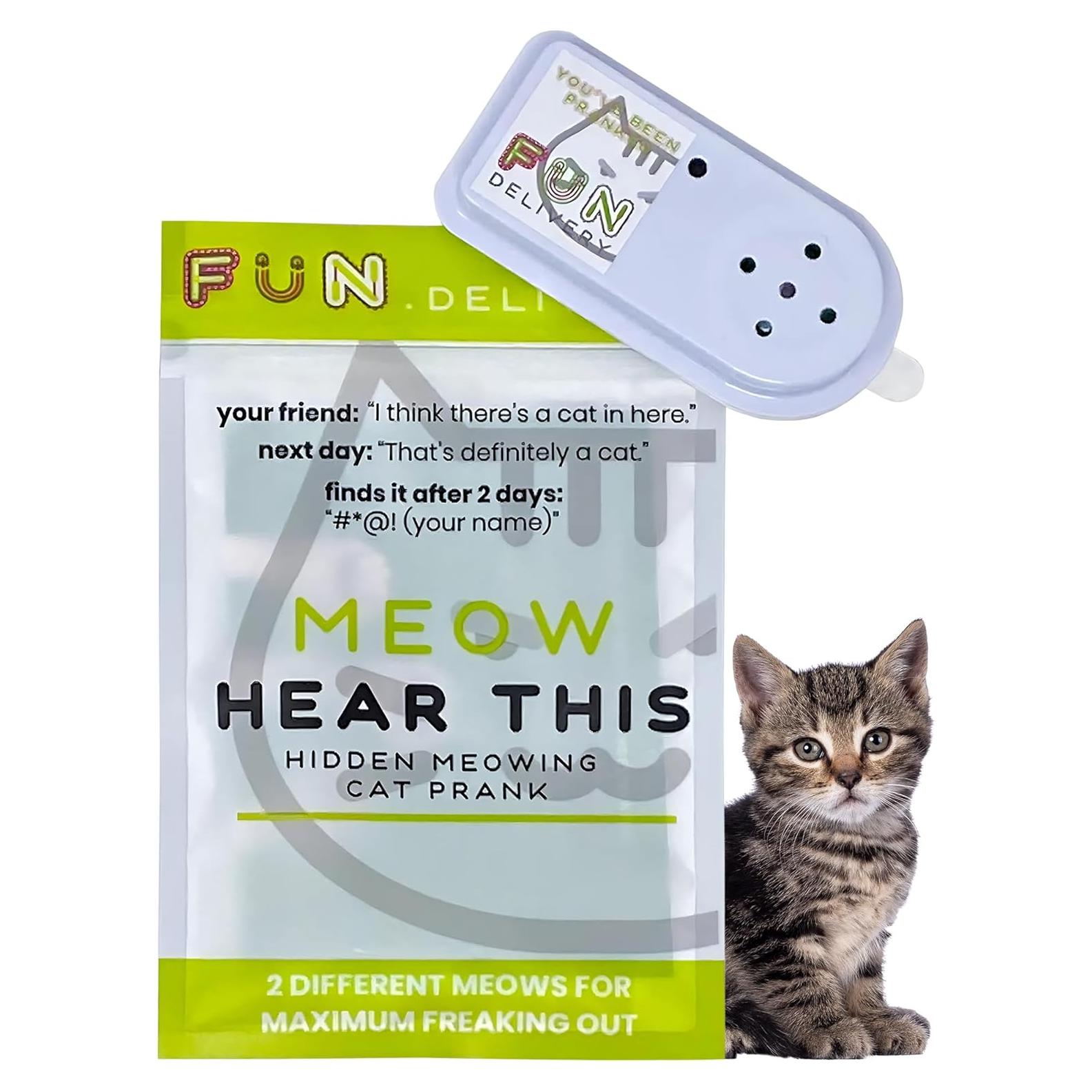 Dispositivo de broma de sonido de gato FUN delivery - Maullido oculto