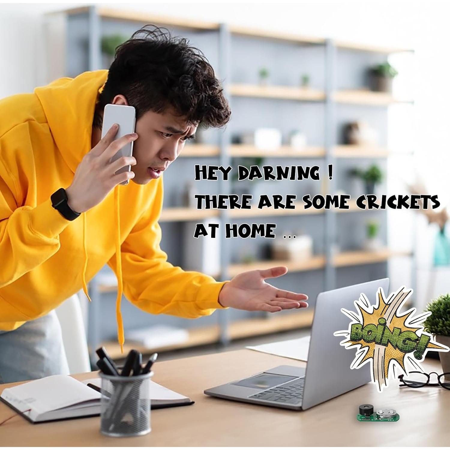 Paquete de 3 Hacedores de Ruido Ocultos Acessorz - Broma Práctica