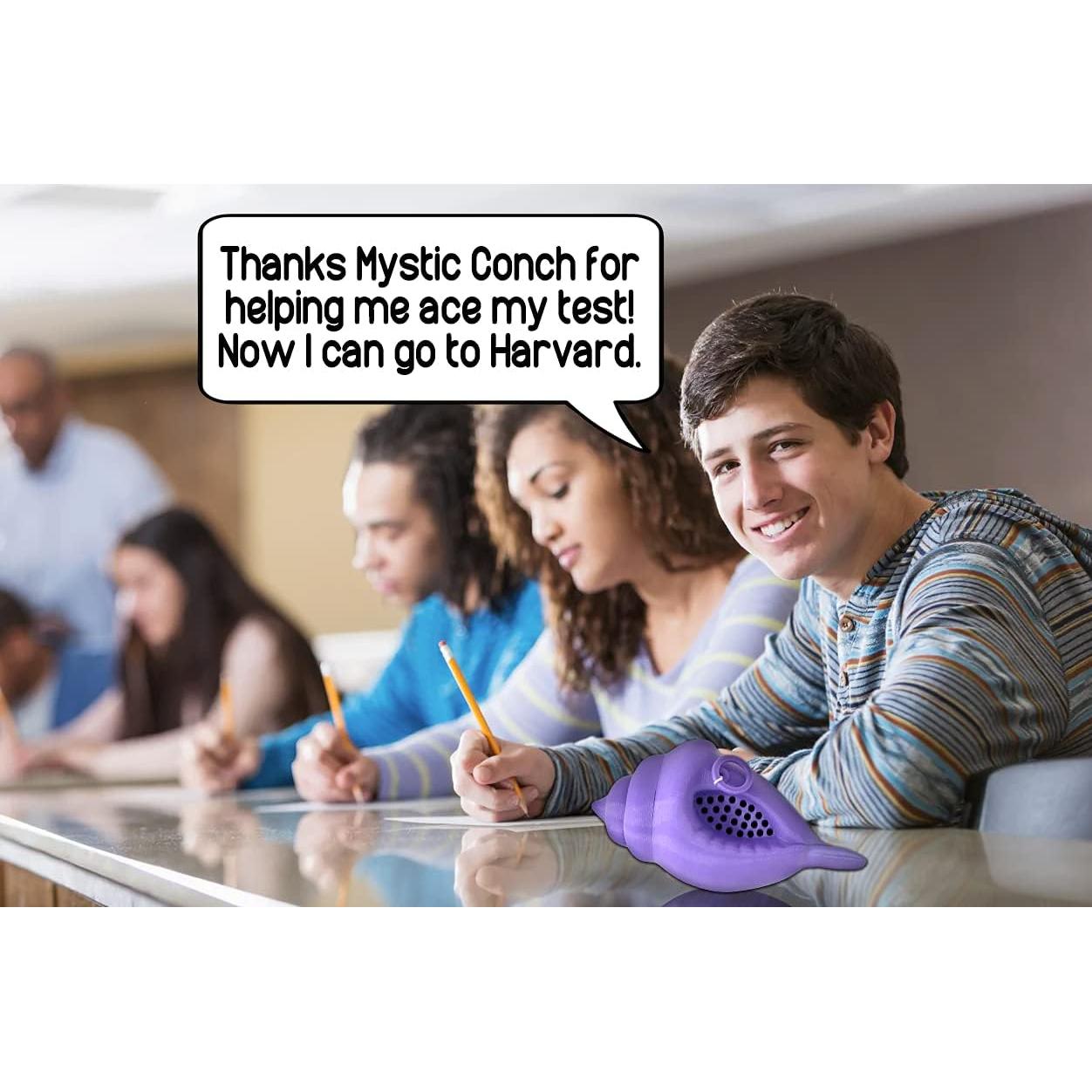 Concha Mística V4+ Lavanda - Juguete de Adivinación MunnyGrubbers